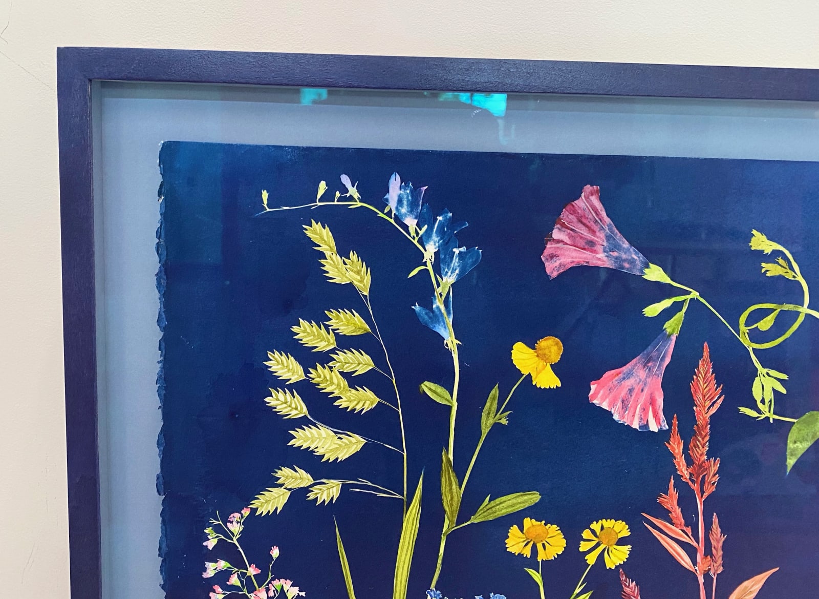 Julia Whitney Barnes, Cyanotype Painting (Morning Glories, Rose of Sharon, Hellenium, Swallowtail, etc.), 2021