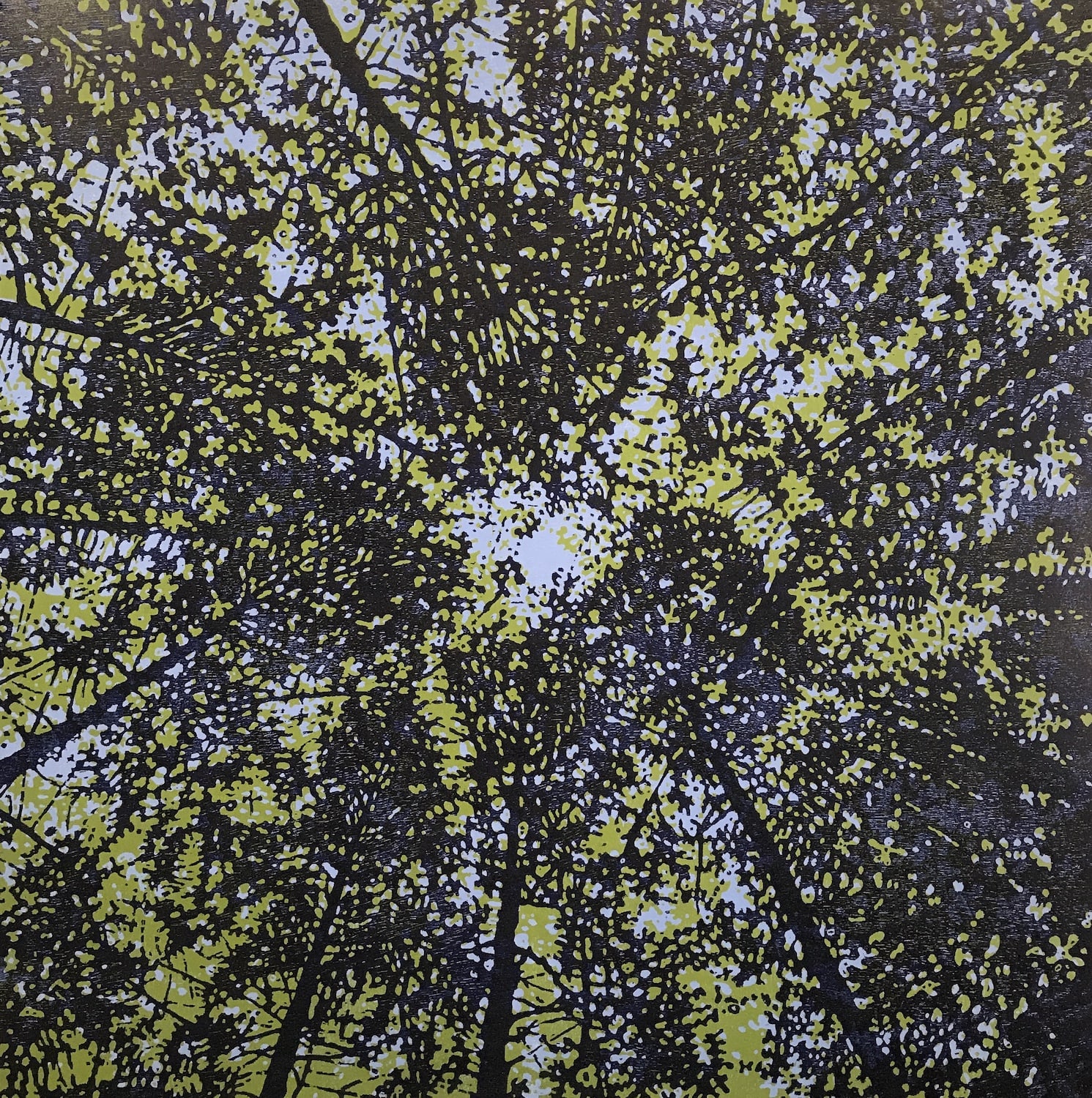 Eve Stockton, Woodland Skyscape variation 82, 2018