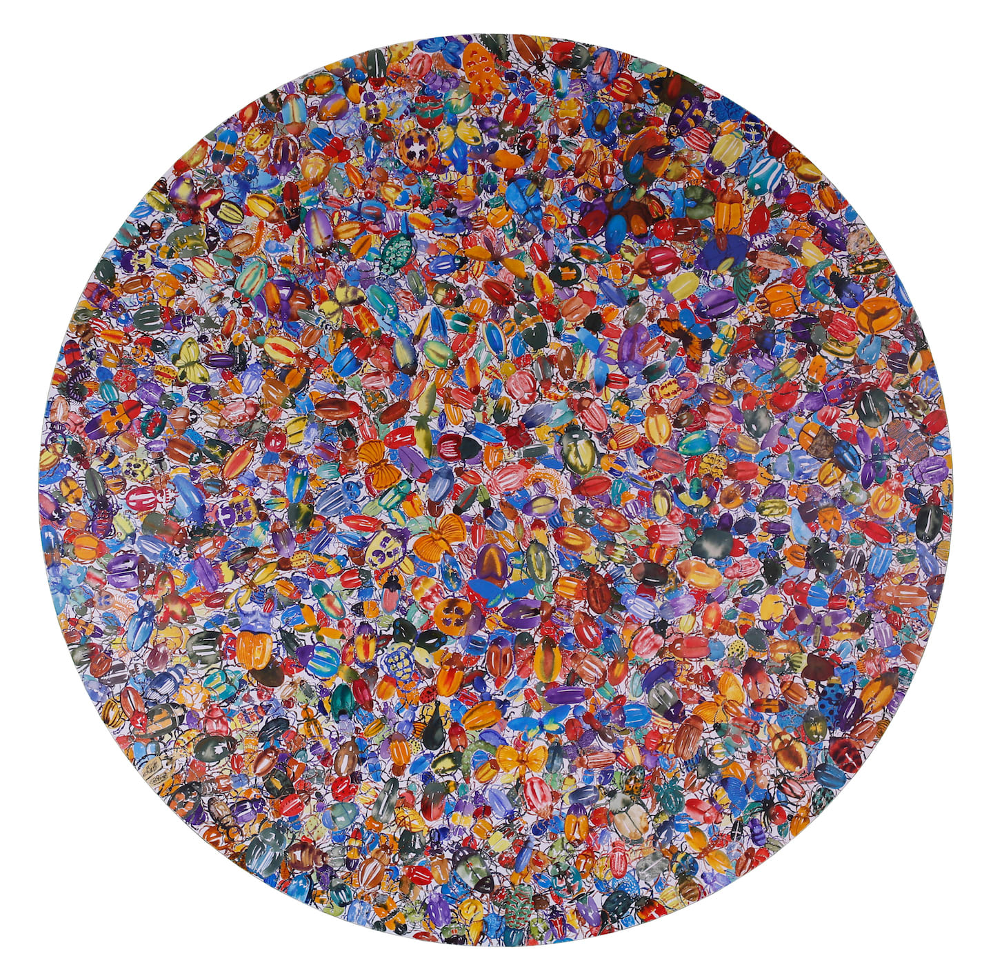 Carlos Gamez de Francisco, 1789 Beetles, "Group Integration, Division of Labour, and Overlap of Generations" Social insect. Encyclopedia Britannica., 2017