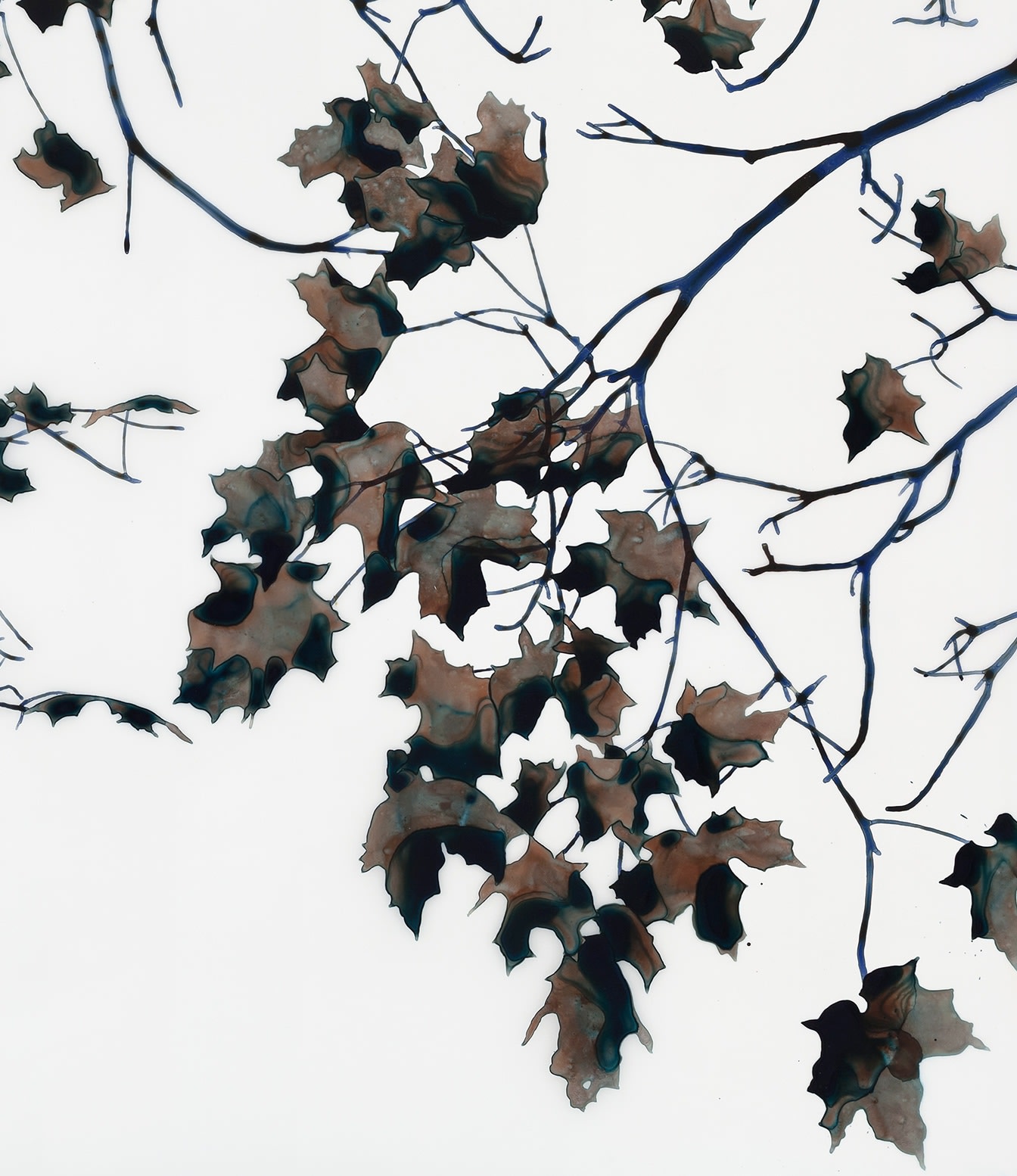 Jackie Battenfield, Night Light mcs, 2015