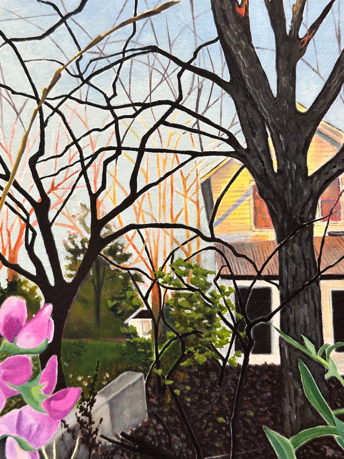 Amanda Acker, November Bloom, 2023