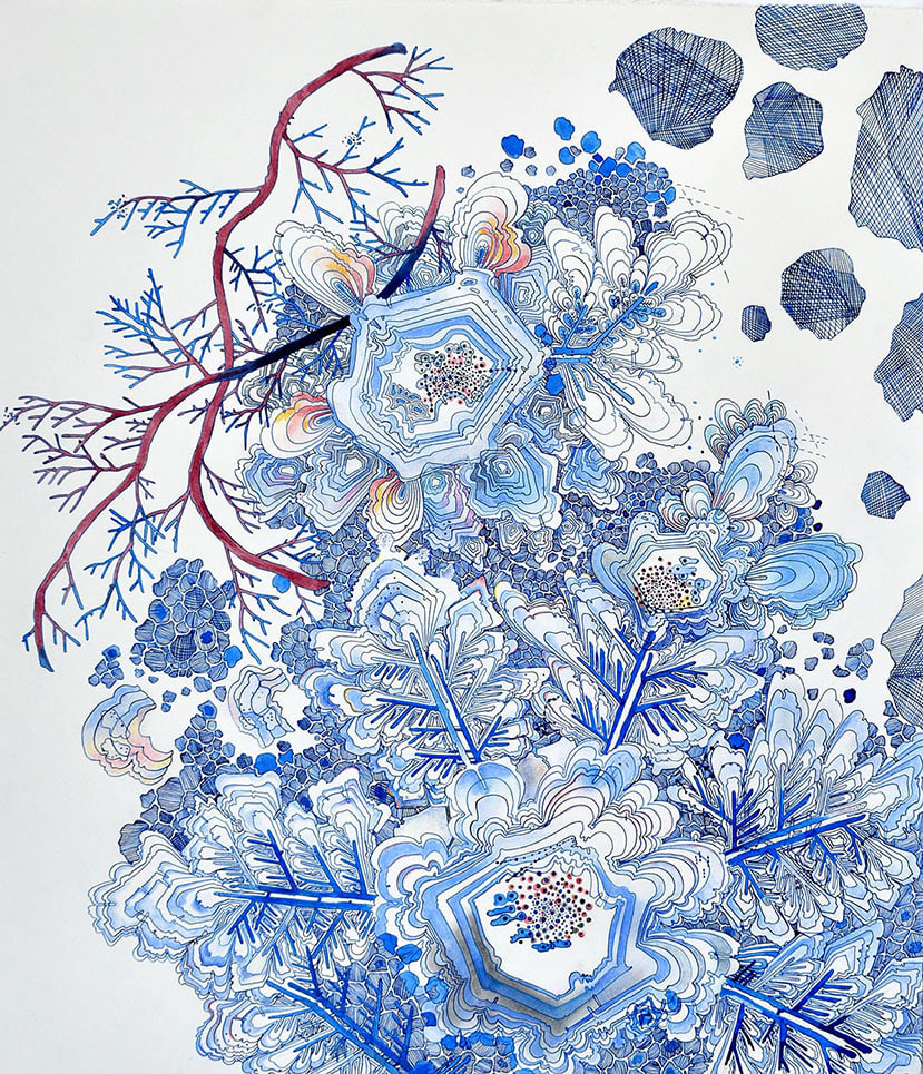 Sarah Morejohn, Snow Flora, Falling, 2020