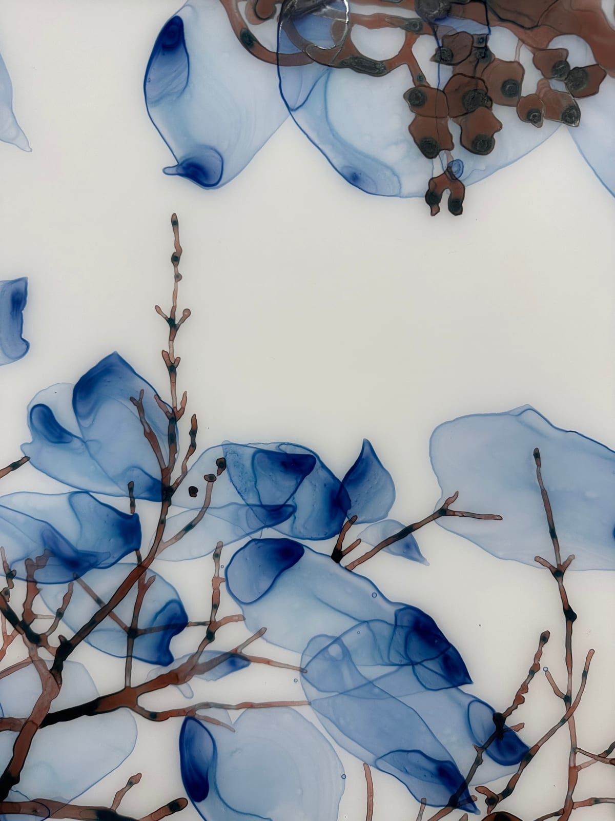 Jackie Battenfield, Unclouded cs1, 2022