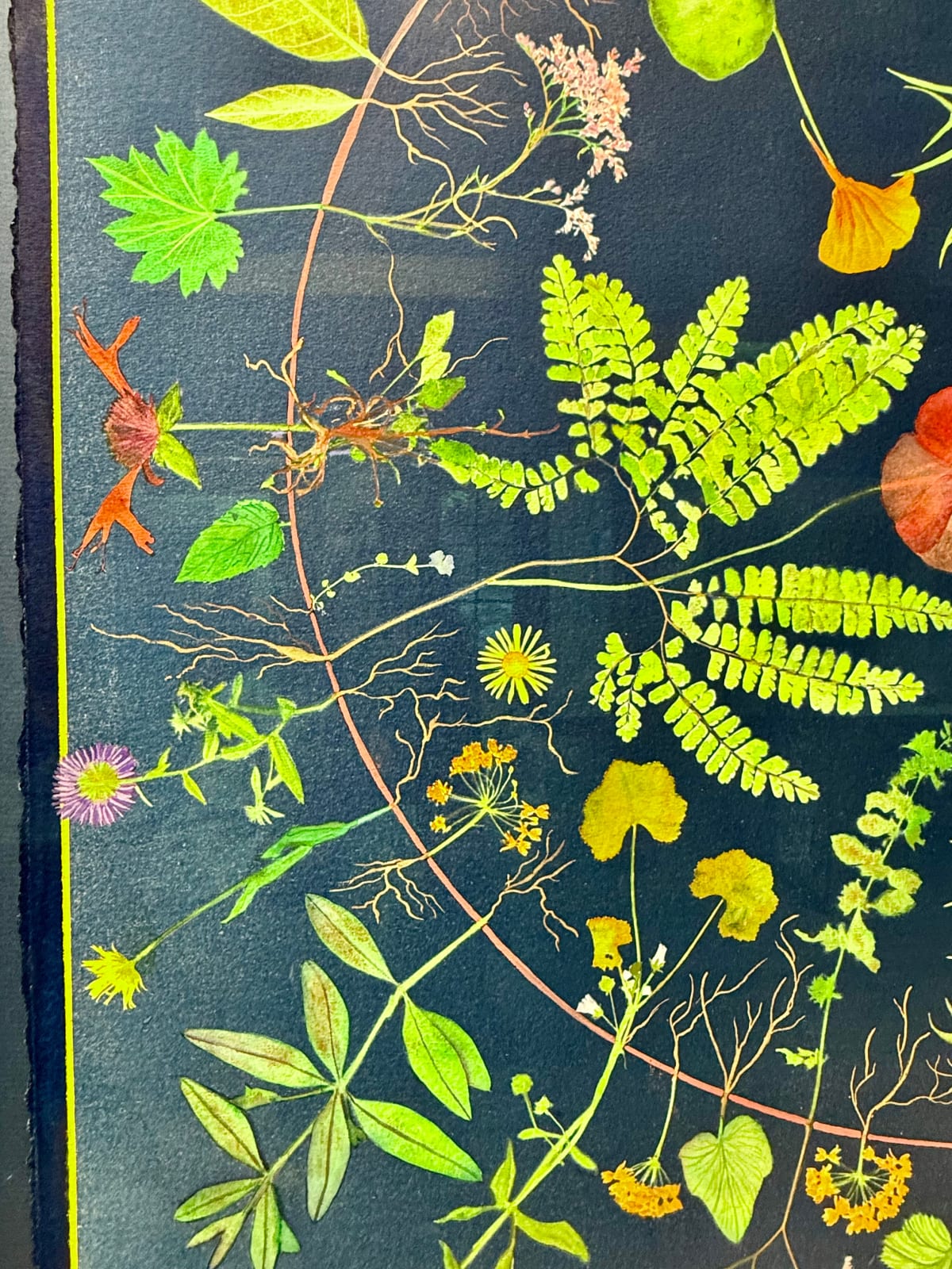 Julia Whitney Barnes, Planting Utopia (Circle of Life), 2022-'24