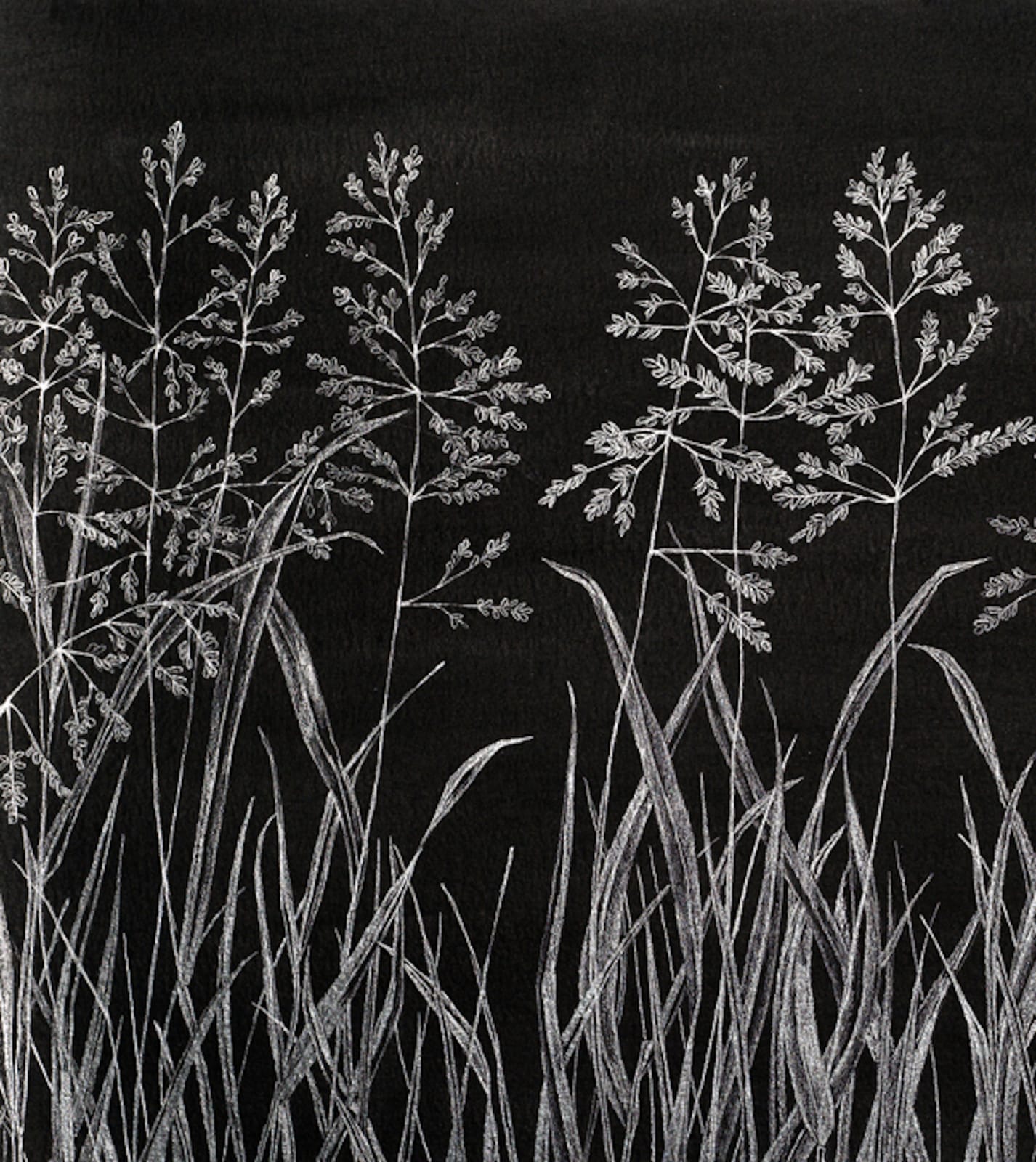 Margot Glass, Grasses 6, 2019