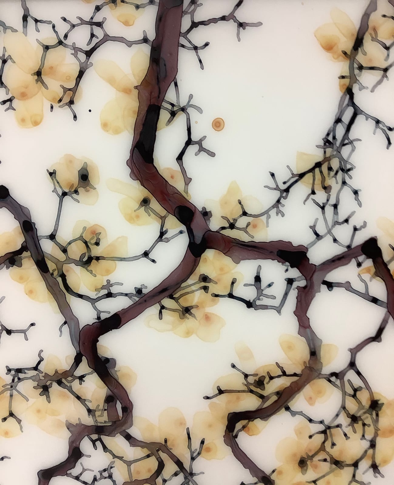 Jackie Battenfield, Flaxen Blossom, 2019