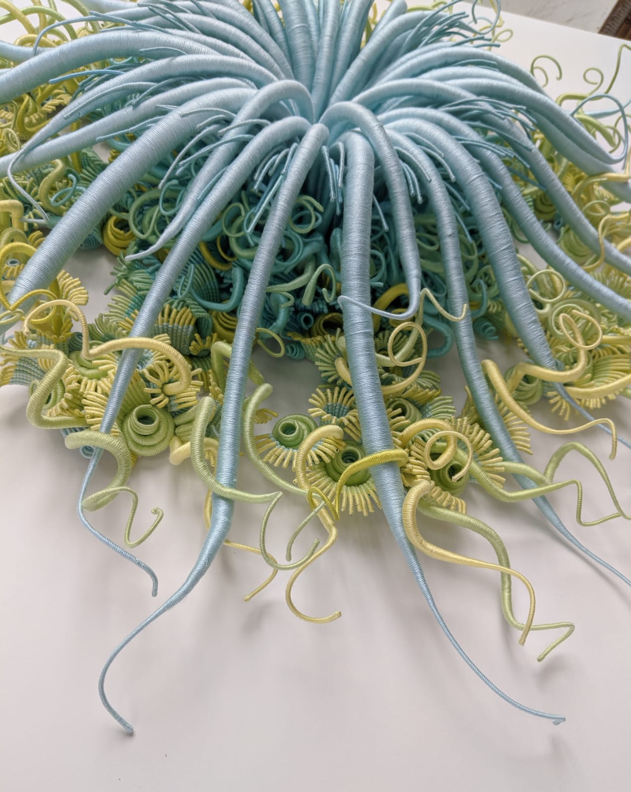 Catherine Latson, Specimen #18, 2020