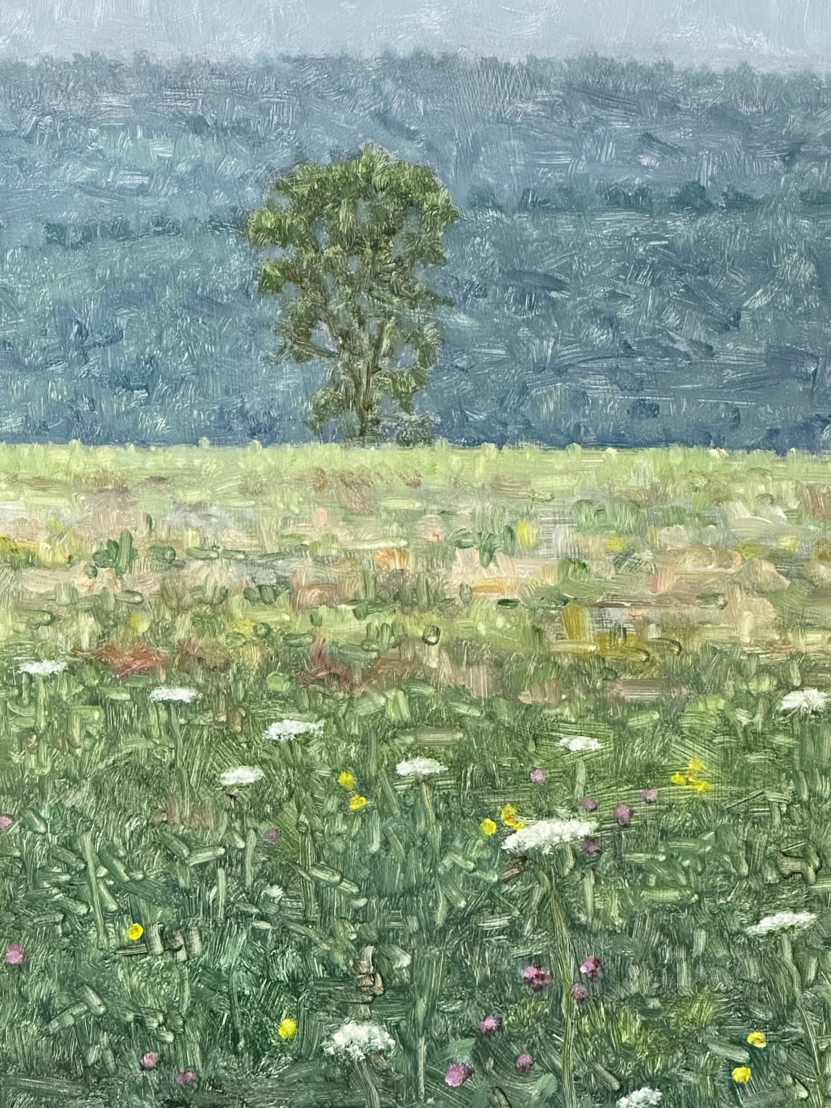 Thomas Sarrantonio, Field Painting July 27, 2023