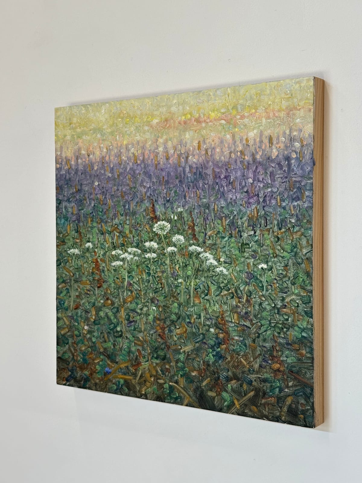 Thomas Sarrantonio, Field Painting August 2, 2022