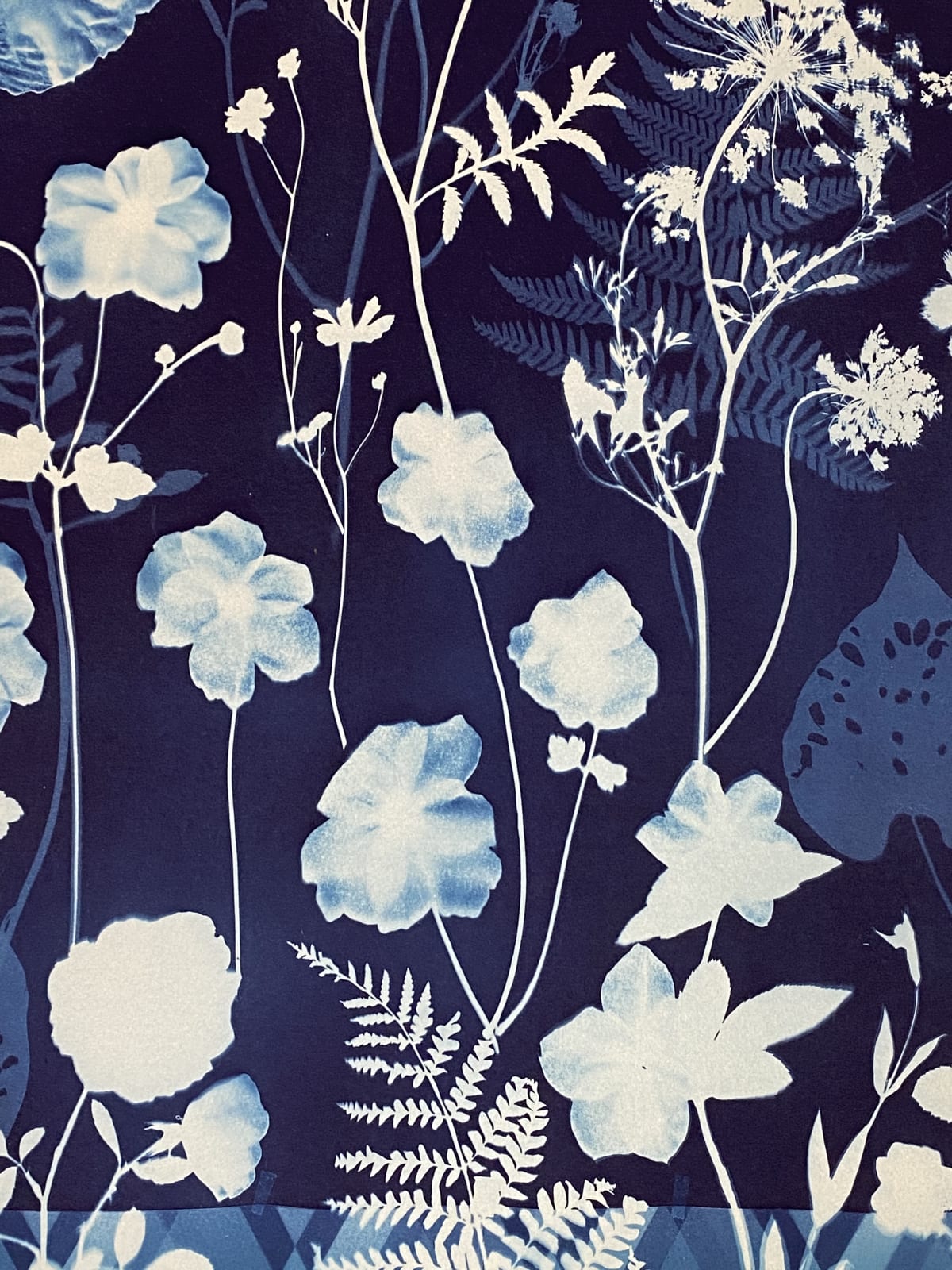 Julia Whitney Barnes, Cyanotype Painting (Anemones, Rose of Sharon, Queen Anne's Lace, Floor Pattern), 2021