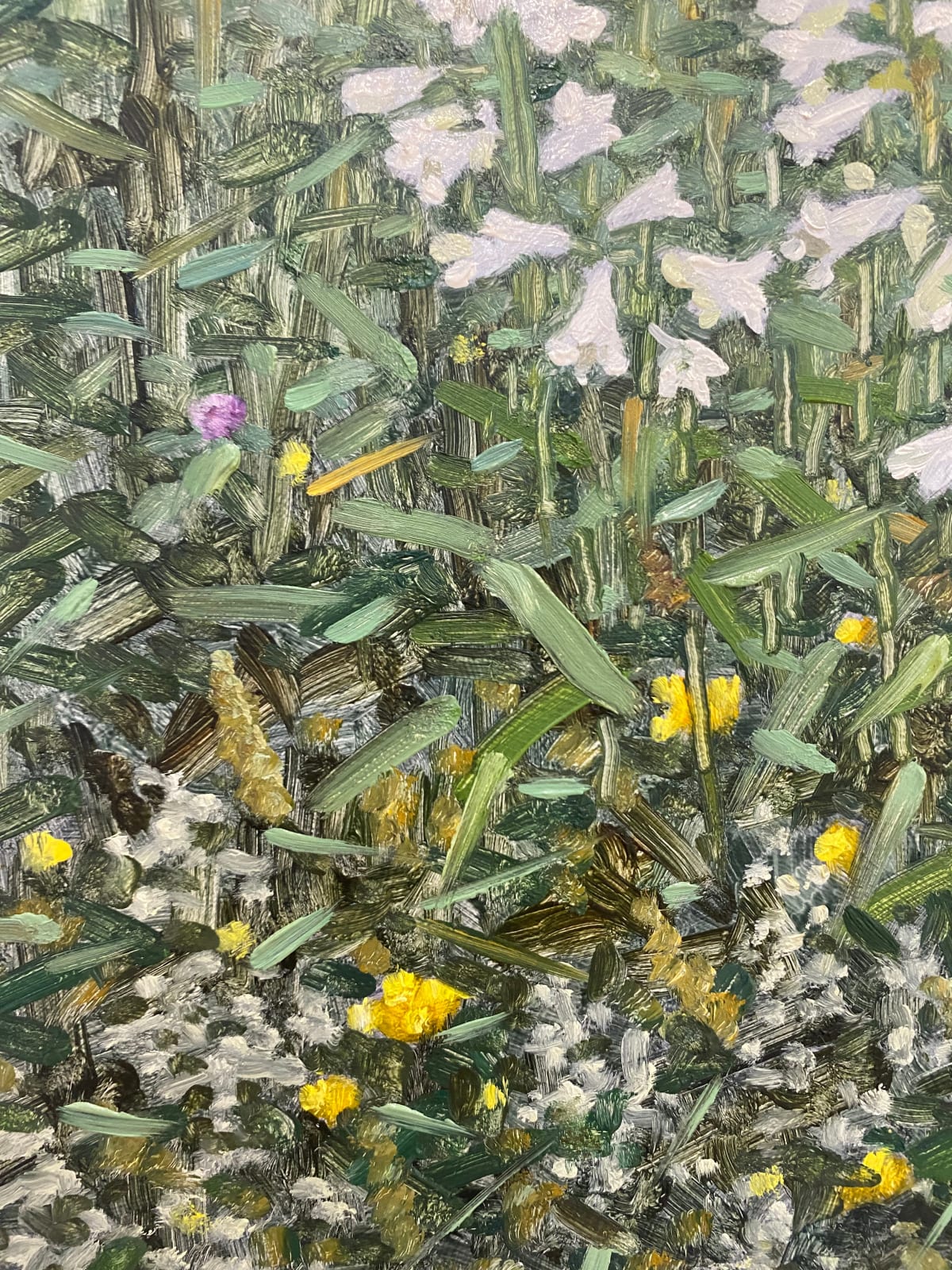 Thomas Sarrantonio, Field Painting June 11, 2021