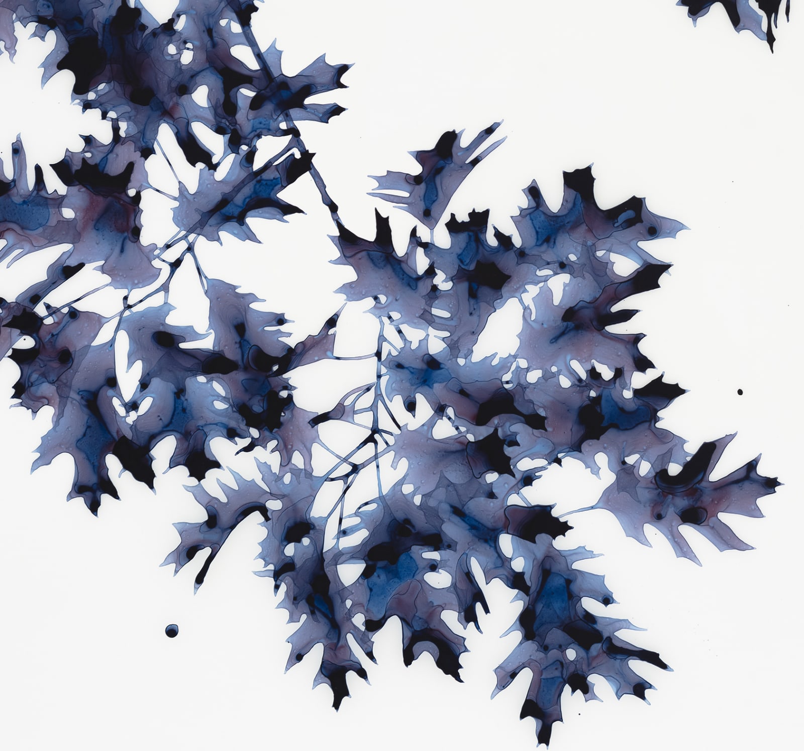 Jackie Battenfield, Briefly Shaded, 2019