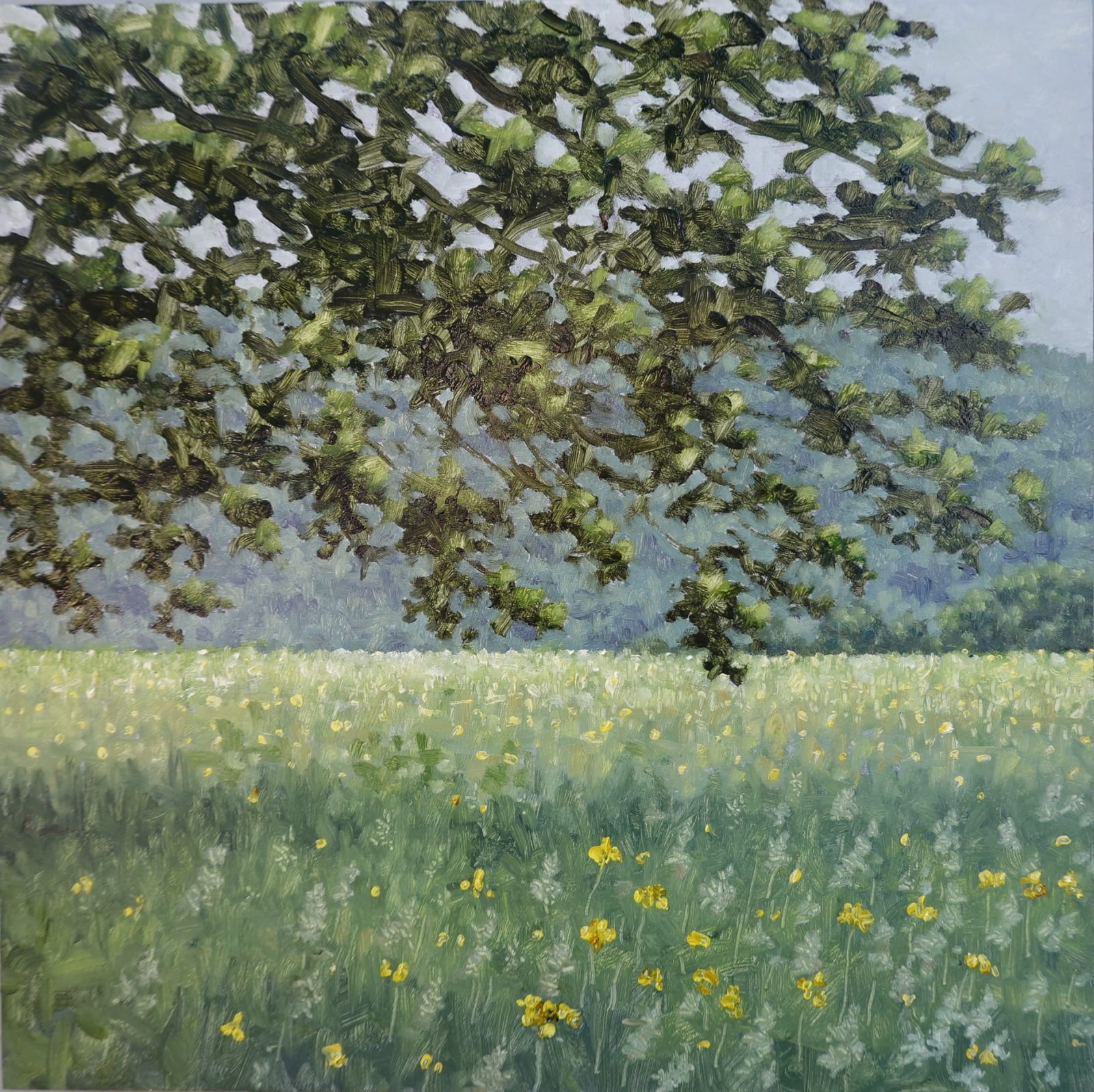 Thomas Sarrantonio, Field Painting June 4, 2021