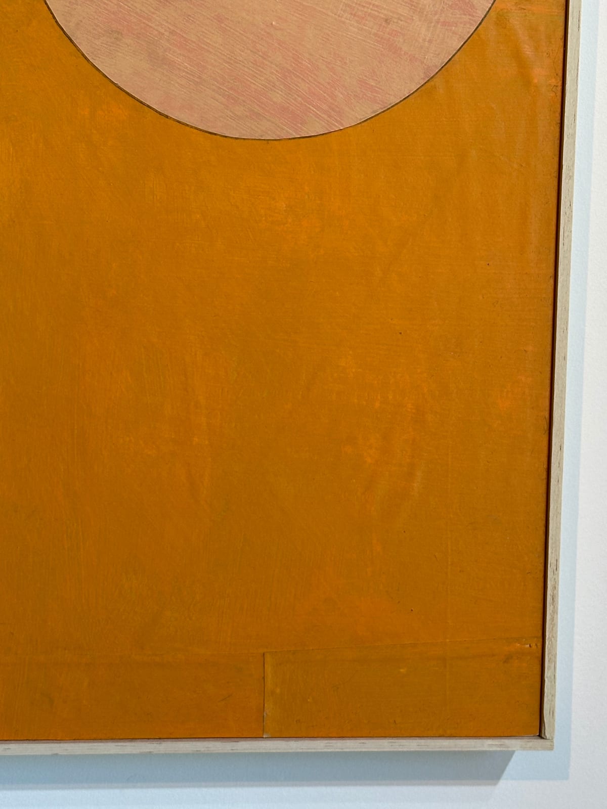 Daniel Anselmi, Untitled (5-7), 2024