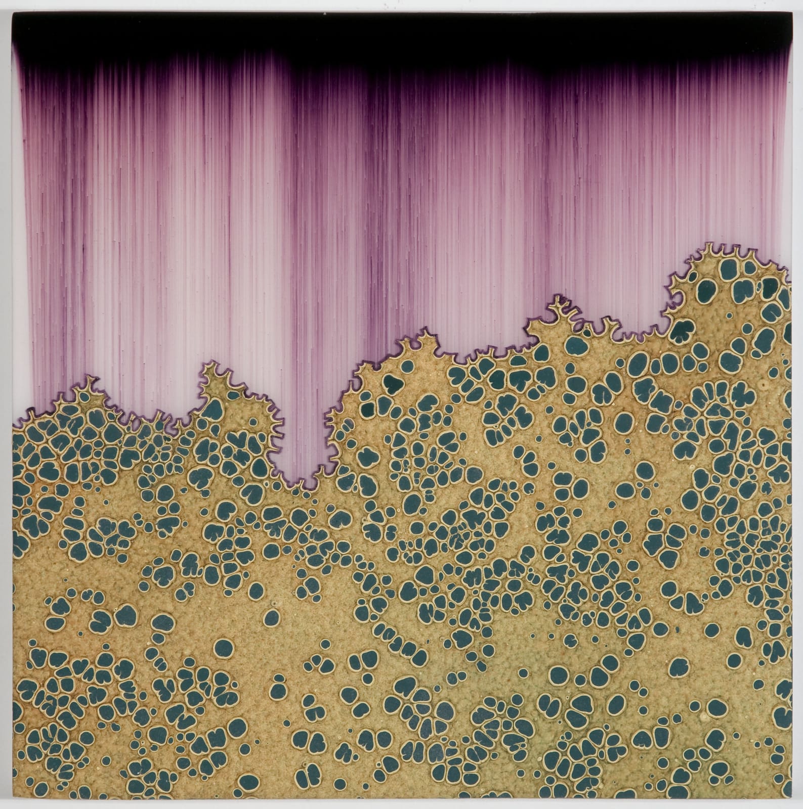 Shane McAdams, Synthetic Landscape 30, 2011