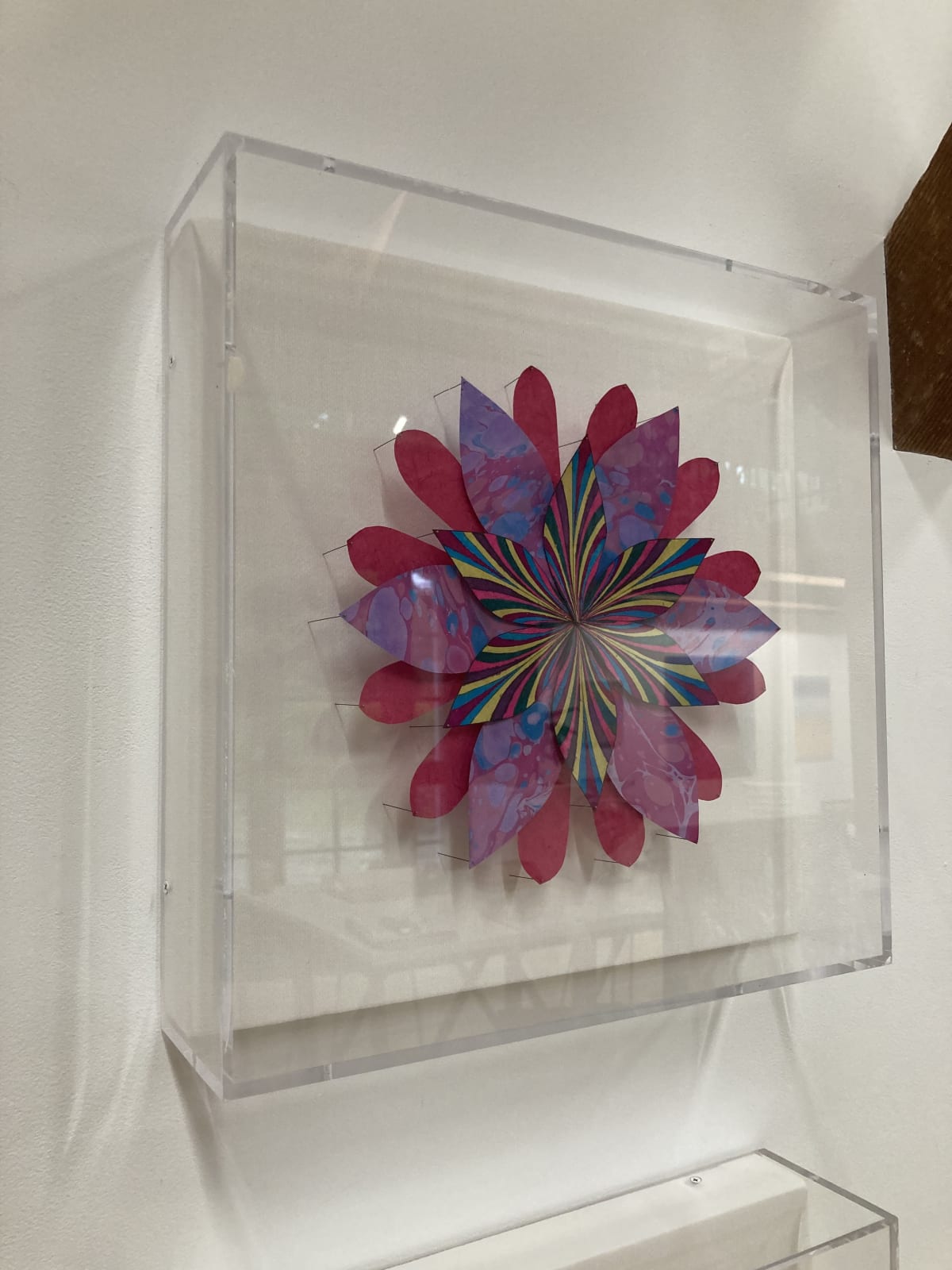 Jill Parisi, Triple Shooting Star Flower (Purple), 2021