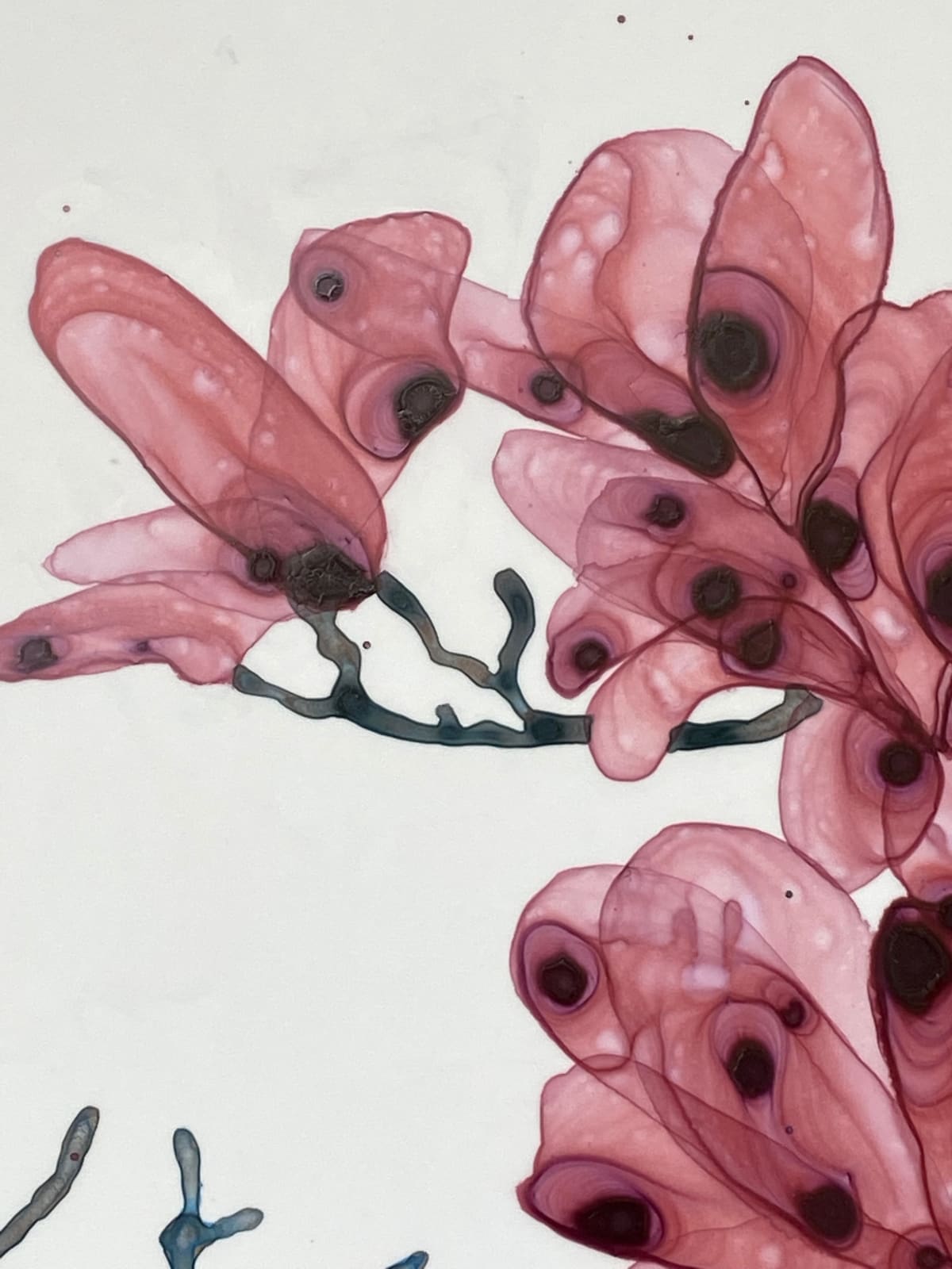 Jackie Battenfield, Evening Chorales Cs2, 2021