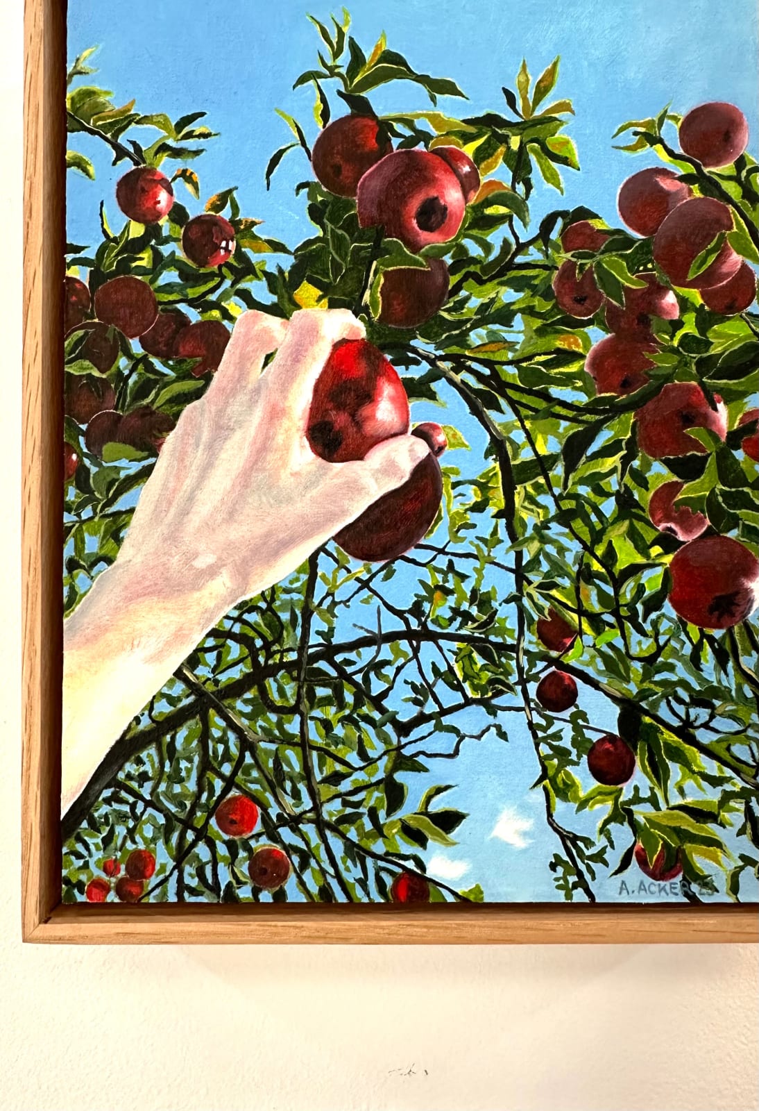 Amanda Acker, Apple Picking, 2023