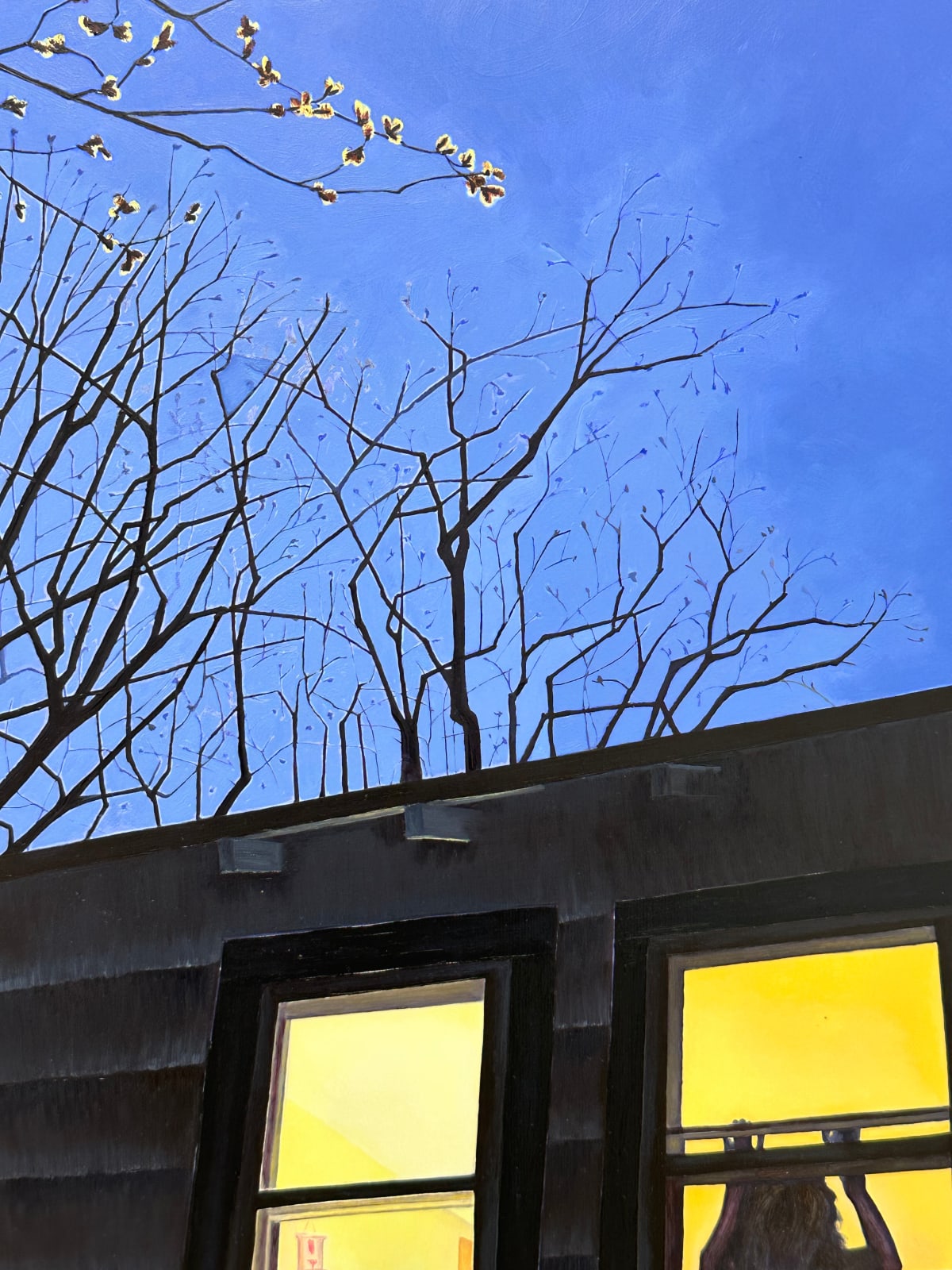 Amanda Acker, Spring Chill, 2023