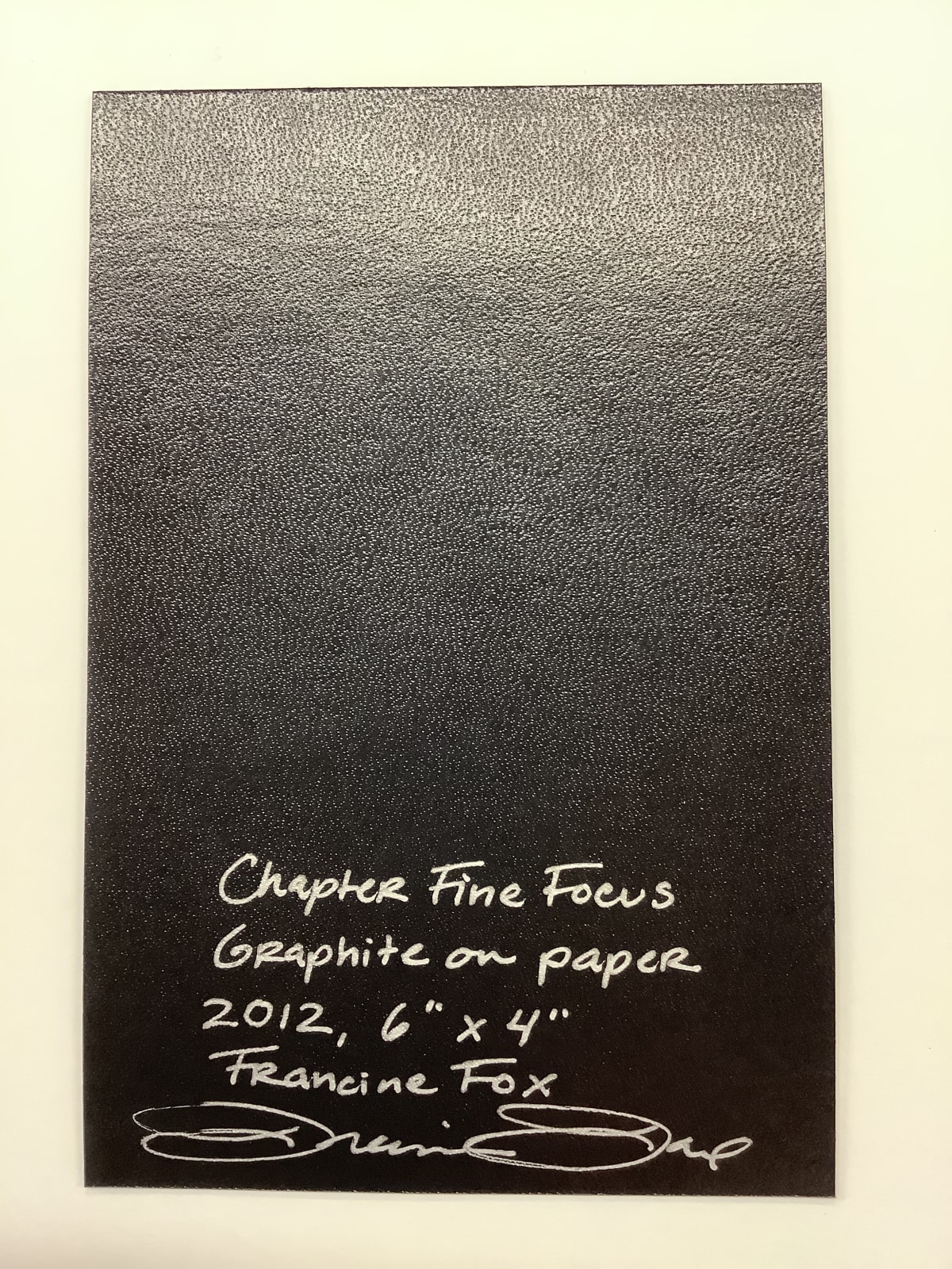 Francine Fox, Chapter Fine Focus, 2012