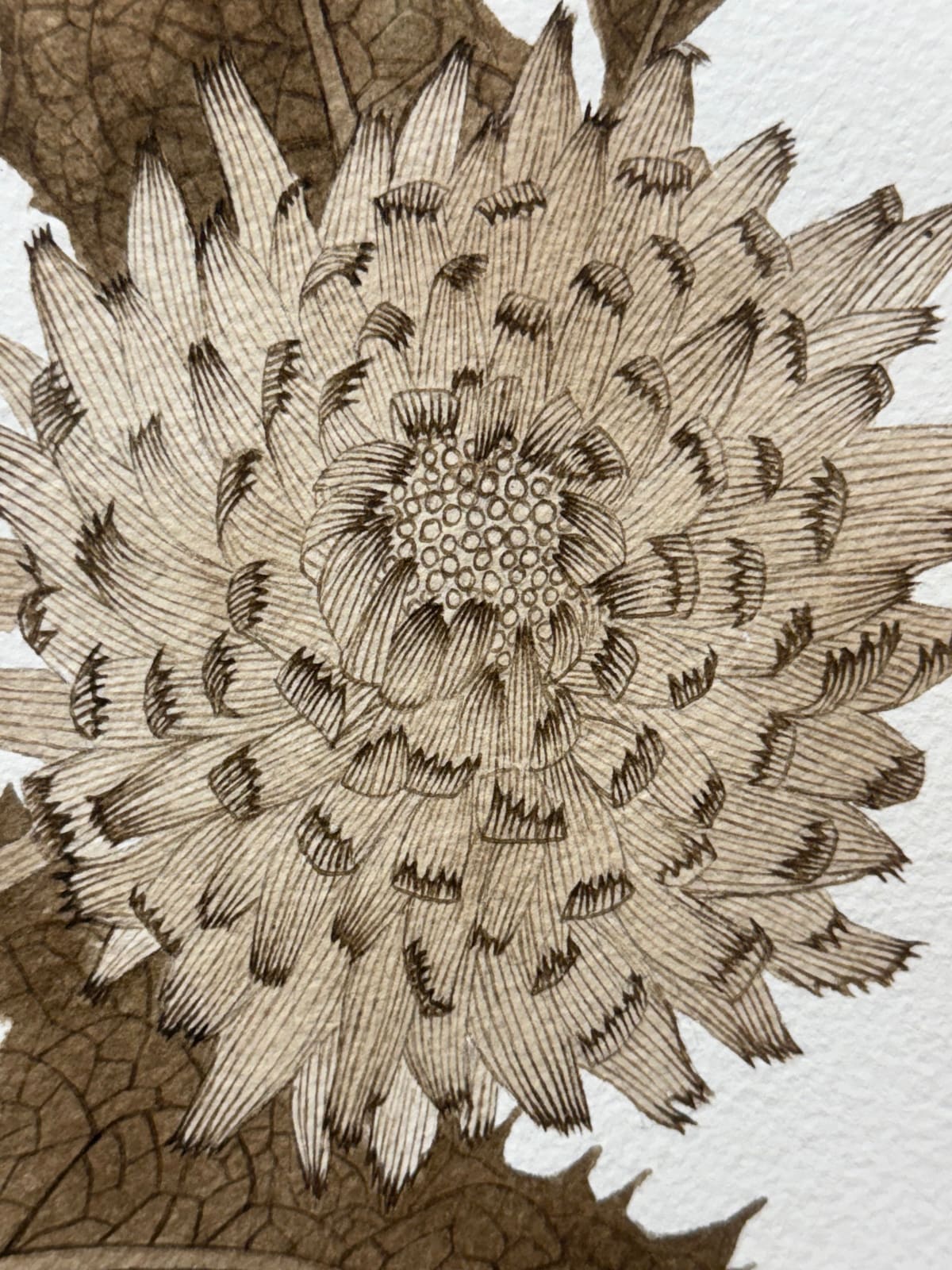 Margot Glass, Sow Thistle 03, 2025