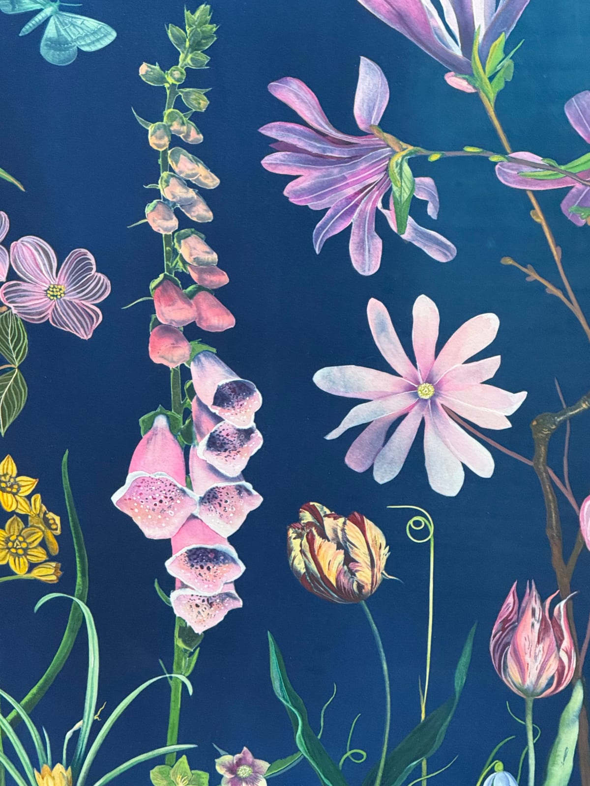 Julia Whitney Barnes, Picturesque Botany (Tulip, Magnolia, Dogwood, Foxglove, Crocus, Pollinators, etc.), 2025