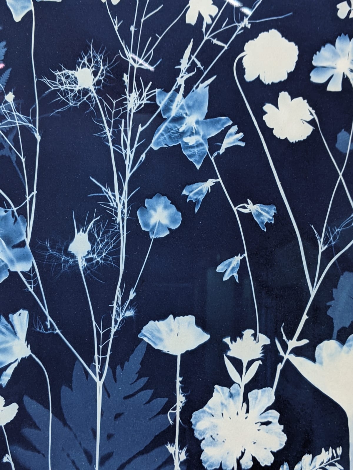 Julia Whitney Barnes, Cyanotype Painting (Crocus, Star Flower, Cosmos, Ferns, Diamond Hexagon Floor Pattern), 2021