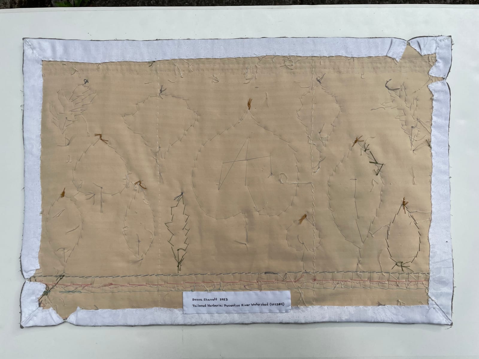 Donna Sharrett, Tailored Herbaria: Pocantico River Watershed (2023 #4), 2023