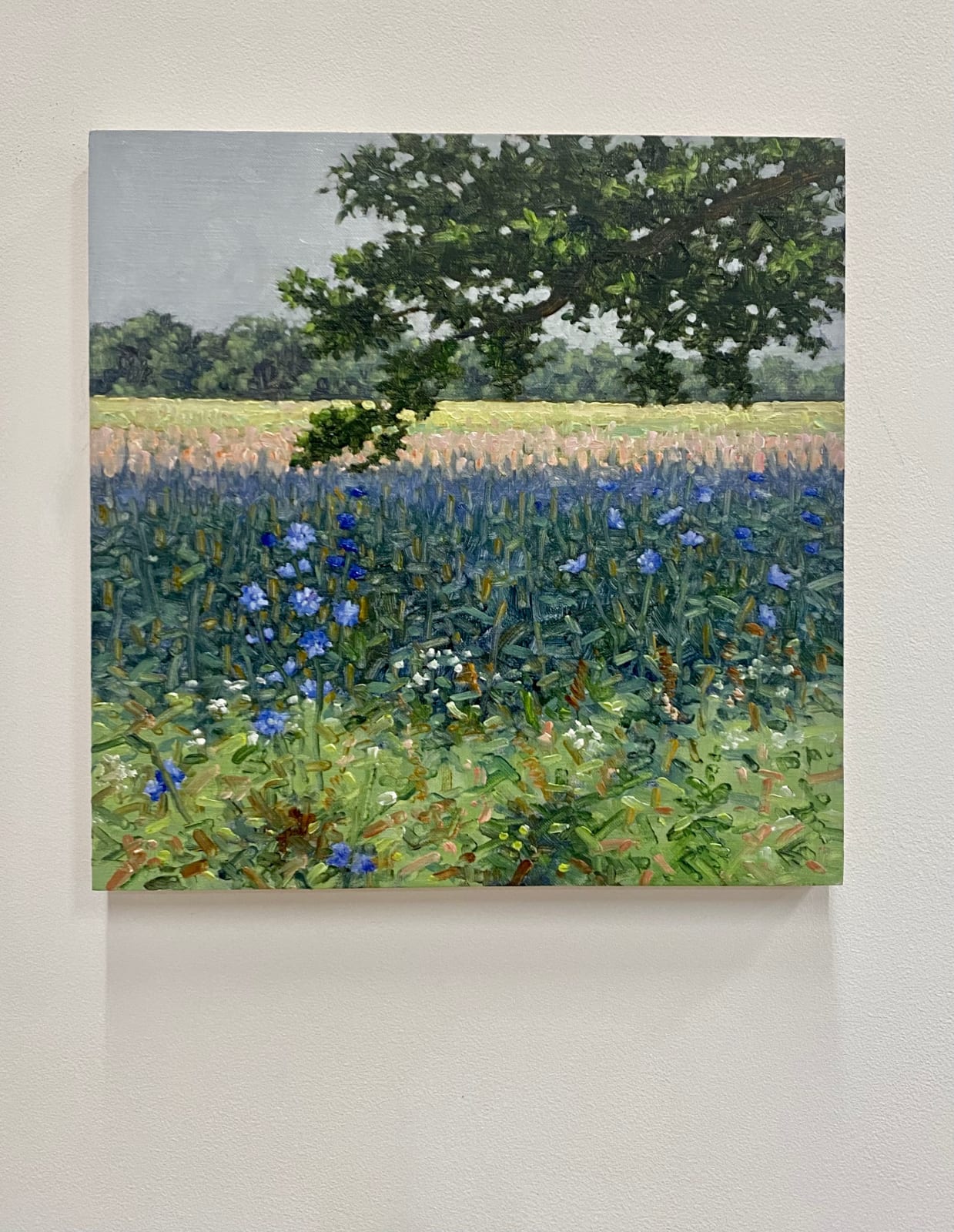 Thomas Sarrantonio, Field Painting July 8, 2022