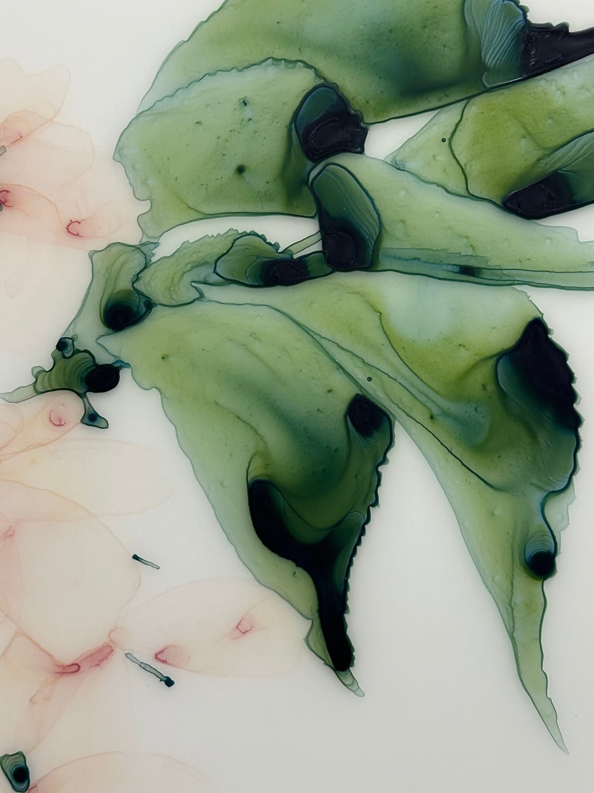 Jackie Battenfield, First Blush, 2023