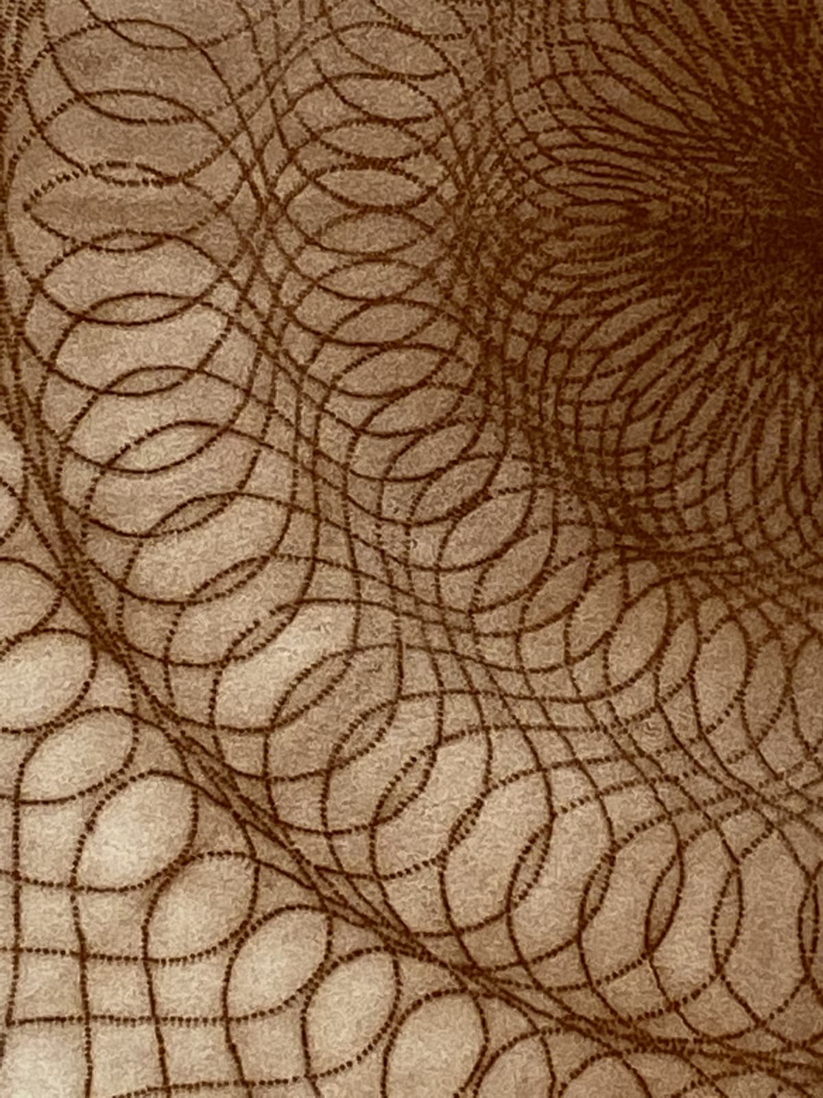 Mary Judge, A102, 2005