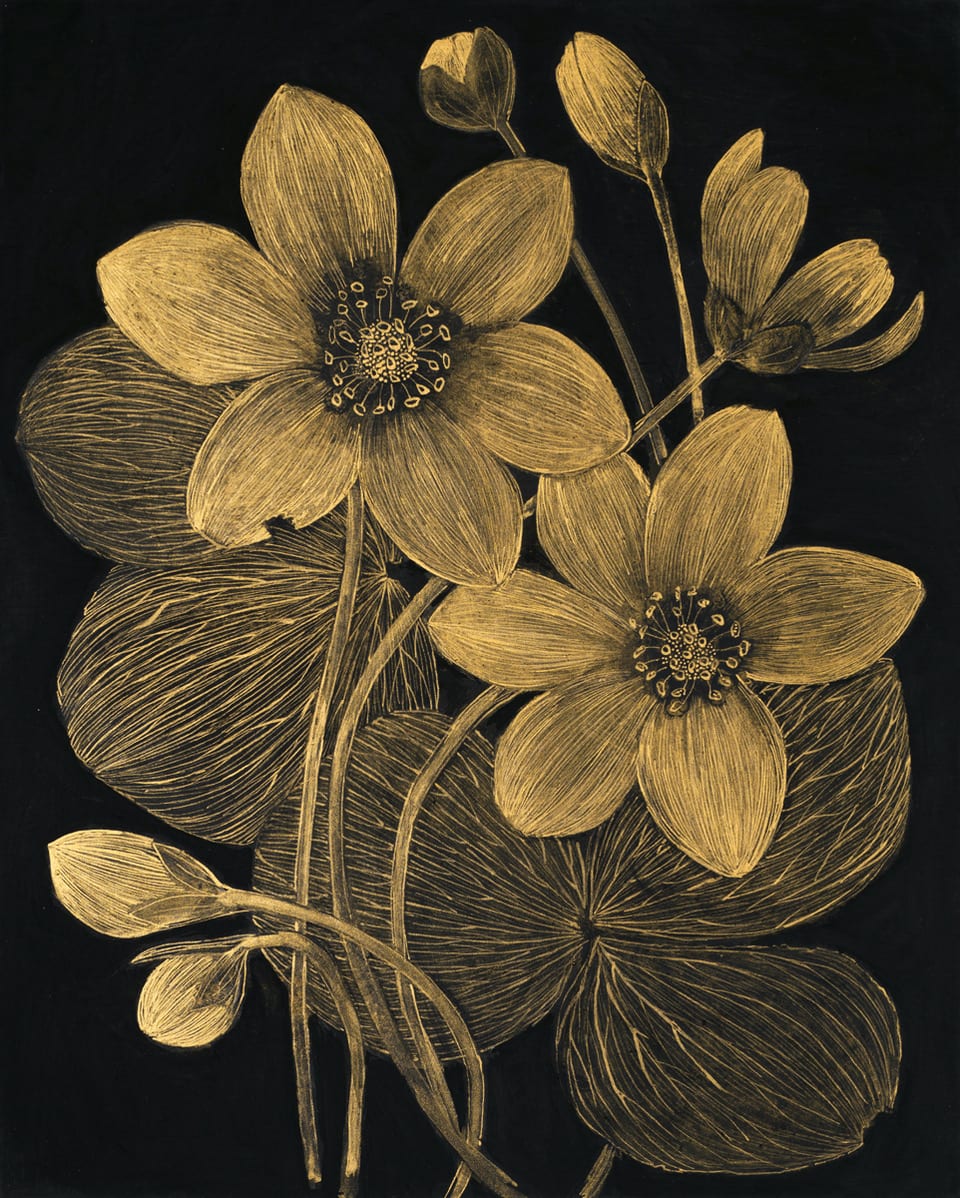 Margot Glass, Anemone 1, 2021