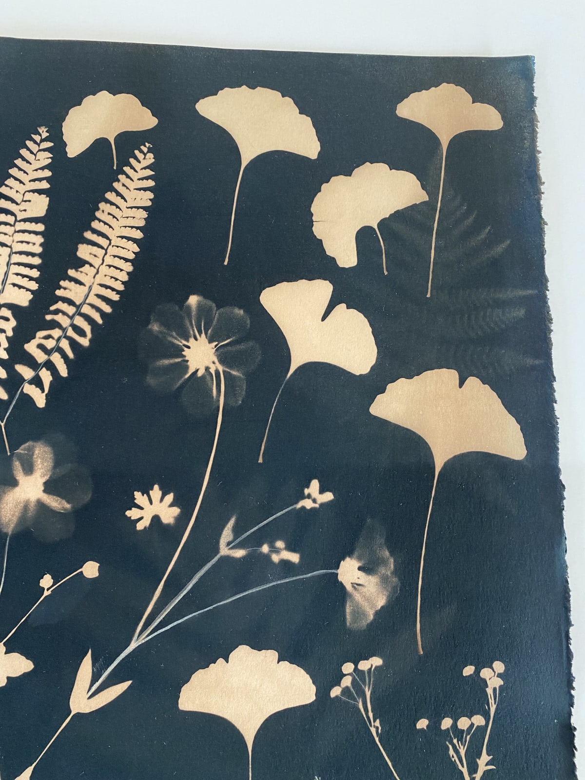Julia Whitney Barnes, Cyanotype Painting (Tea Toned Gingko, Ferns, Petals, etc.), 2021