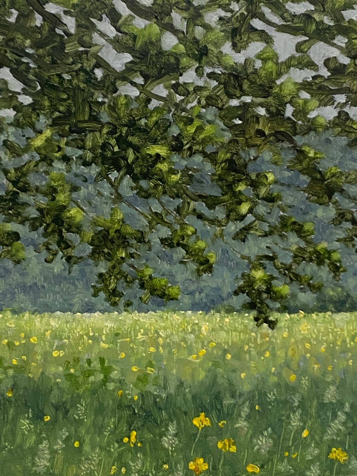 Thomas Sarrantonio, Field Painting June 4, 2021