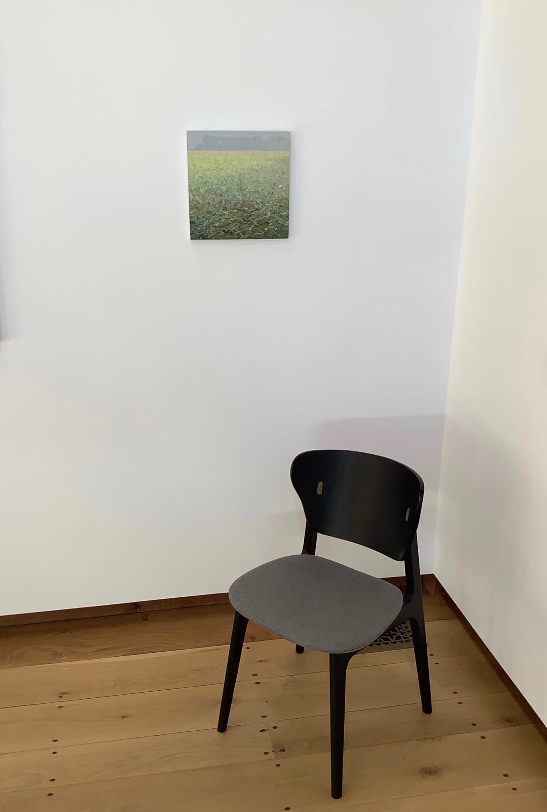 Thomas Sarrantonio, Translation, 2017