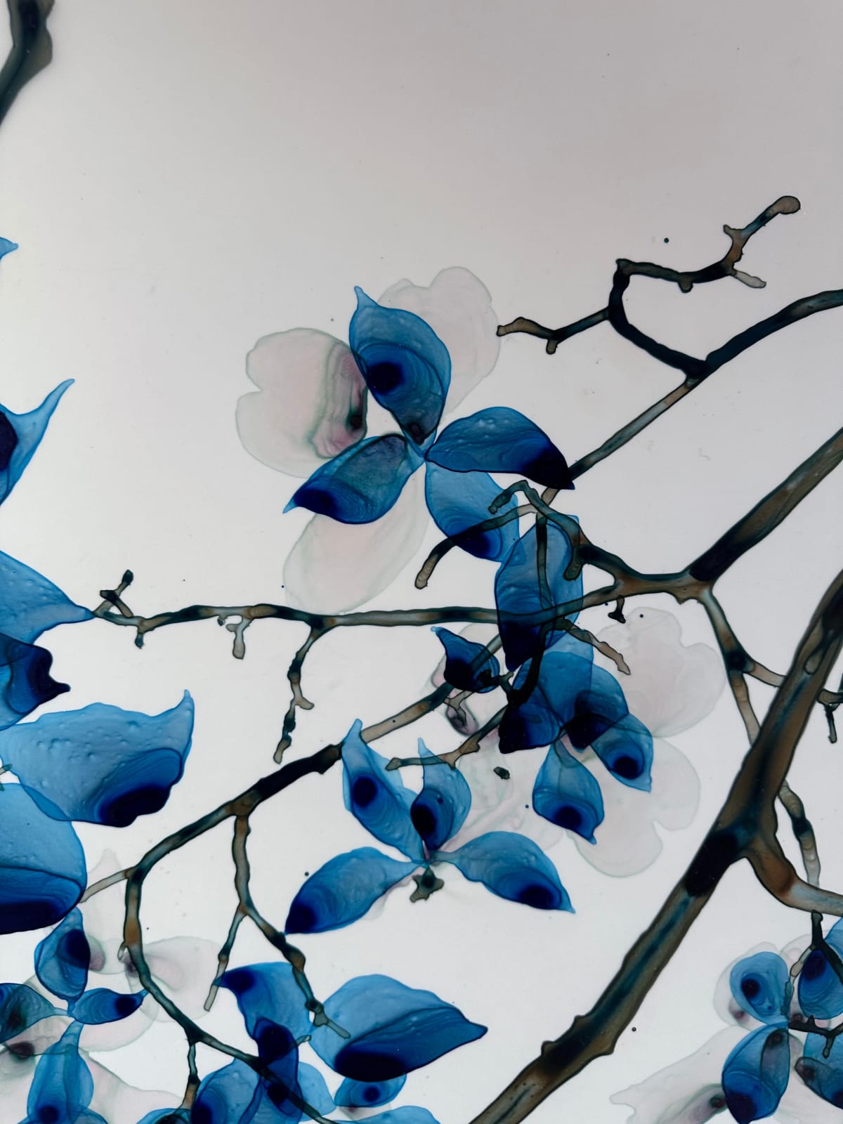 Jackie Battenfield, Sweet Ballad, 2024