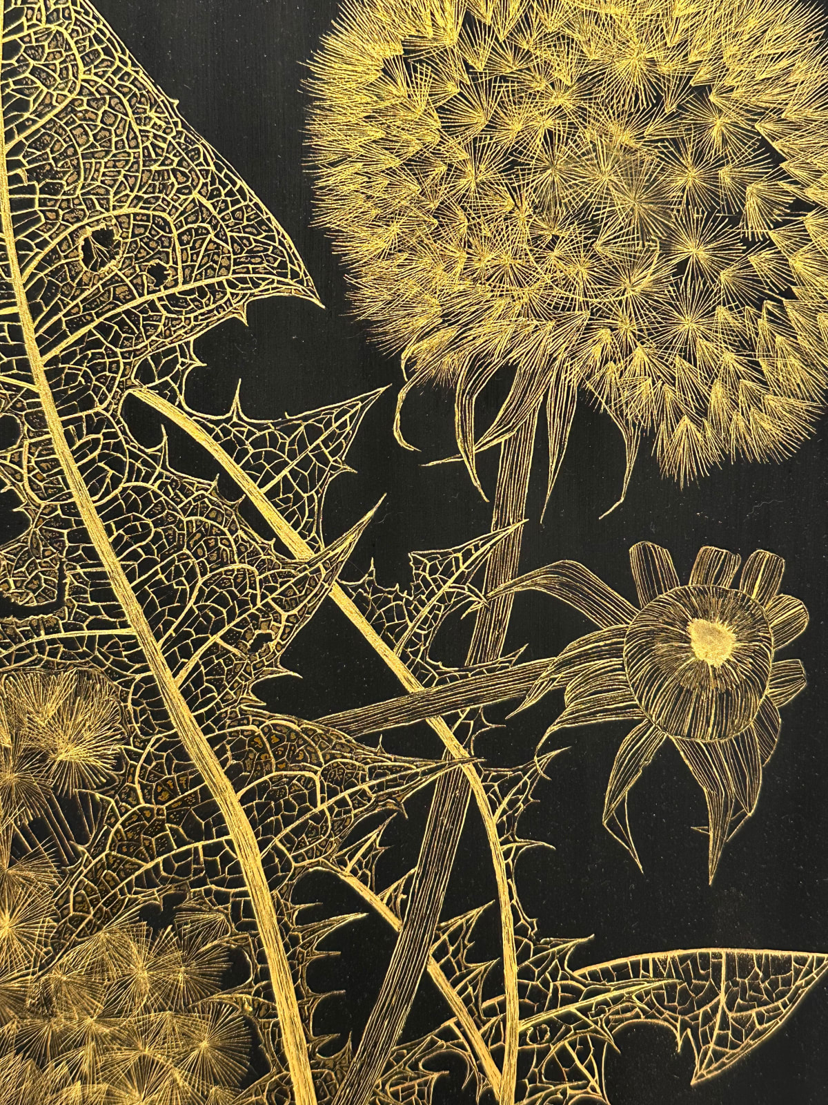 Margot Glass, Dandelions with Bud 2, 2024