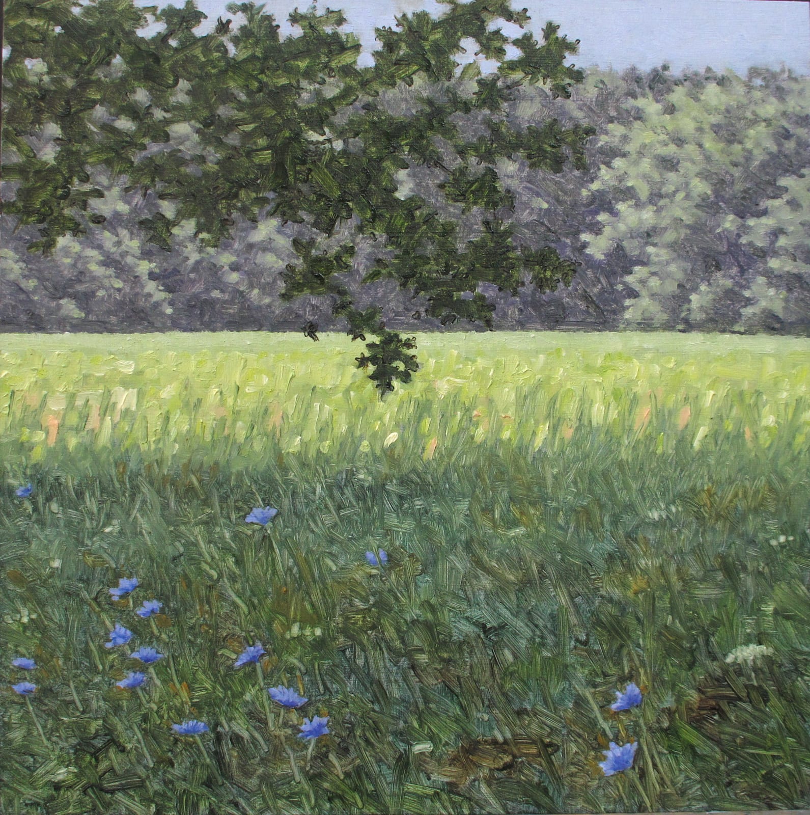Thomas Sarrantonio, Field Study July 24, 2020, 2020