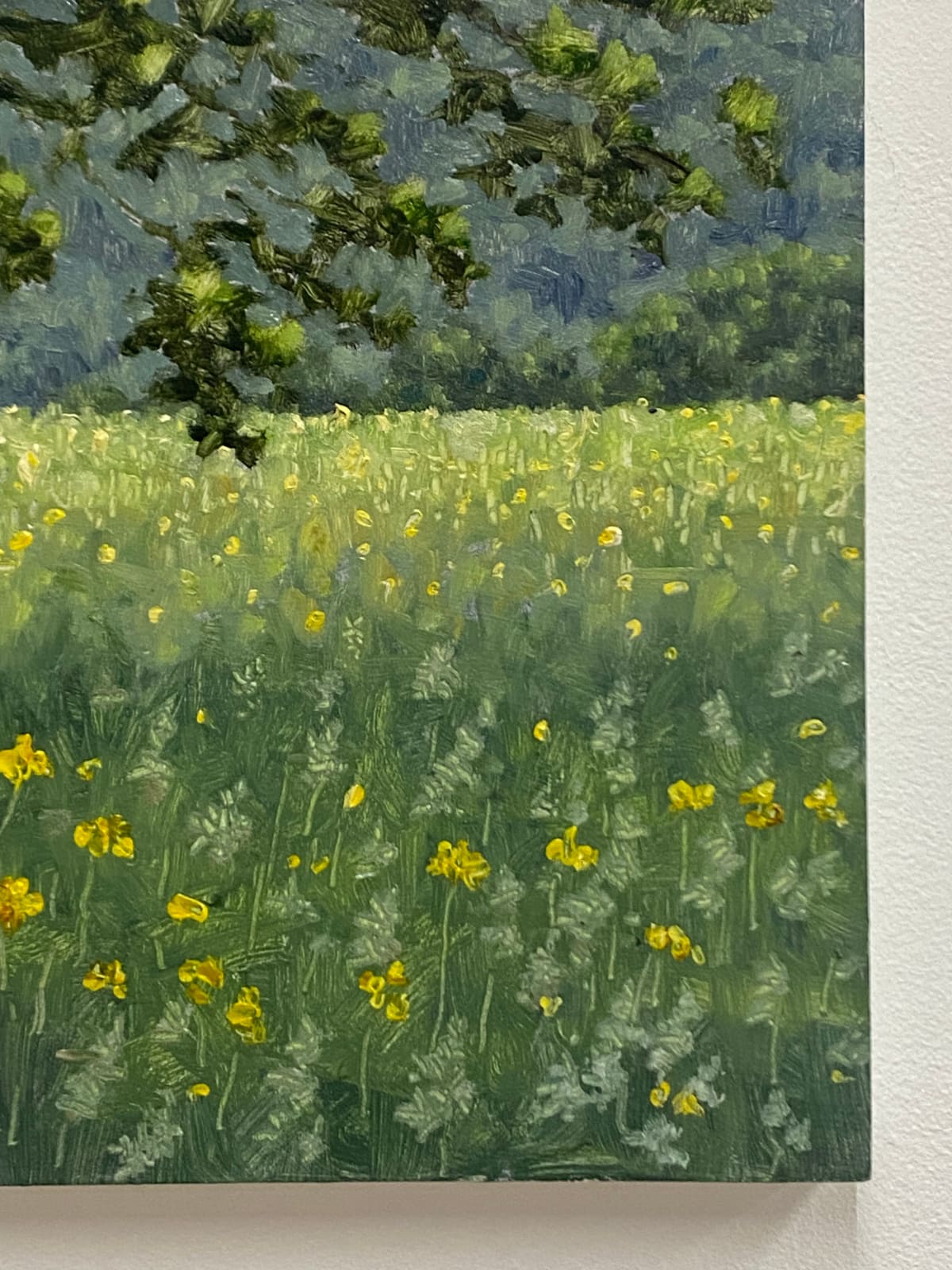 Thomas Sarrantonio, Field Painting June 4, 2021
