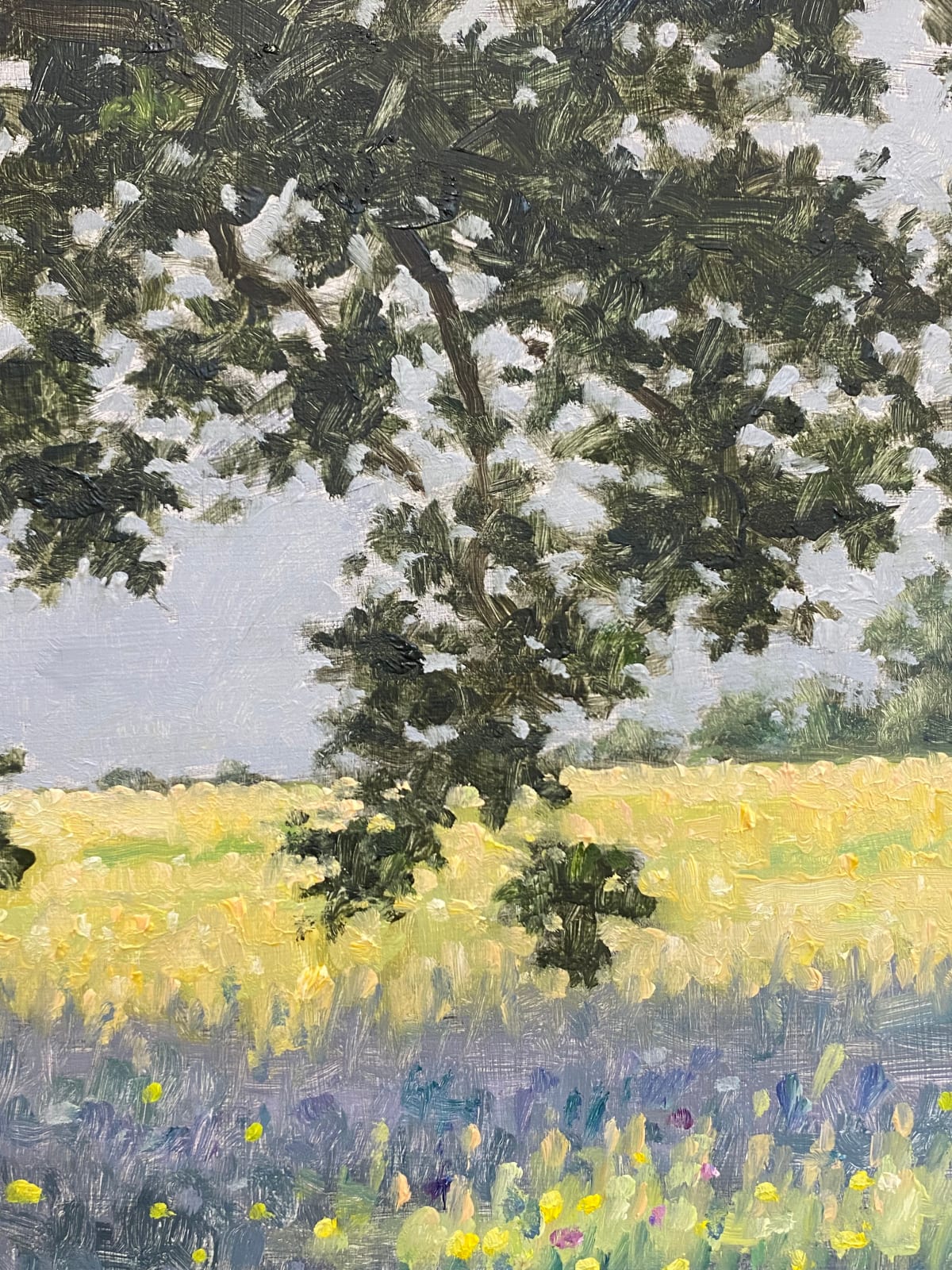 Thomas Sarrantonio, Field Painting June 15, 2022