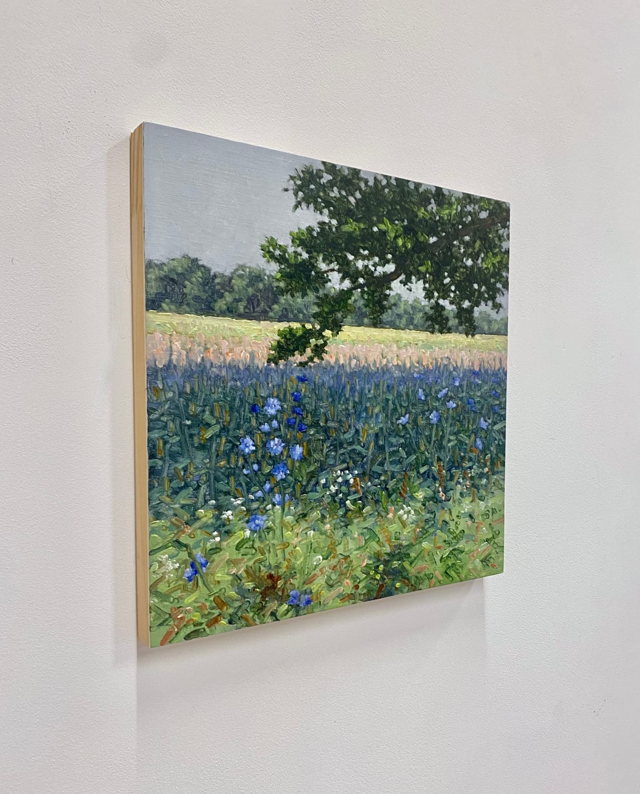 Thomas Sarrantonio, Field Painting July 8, 2022