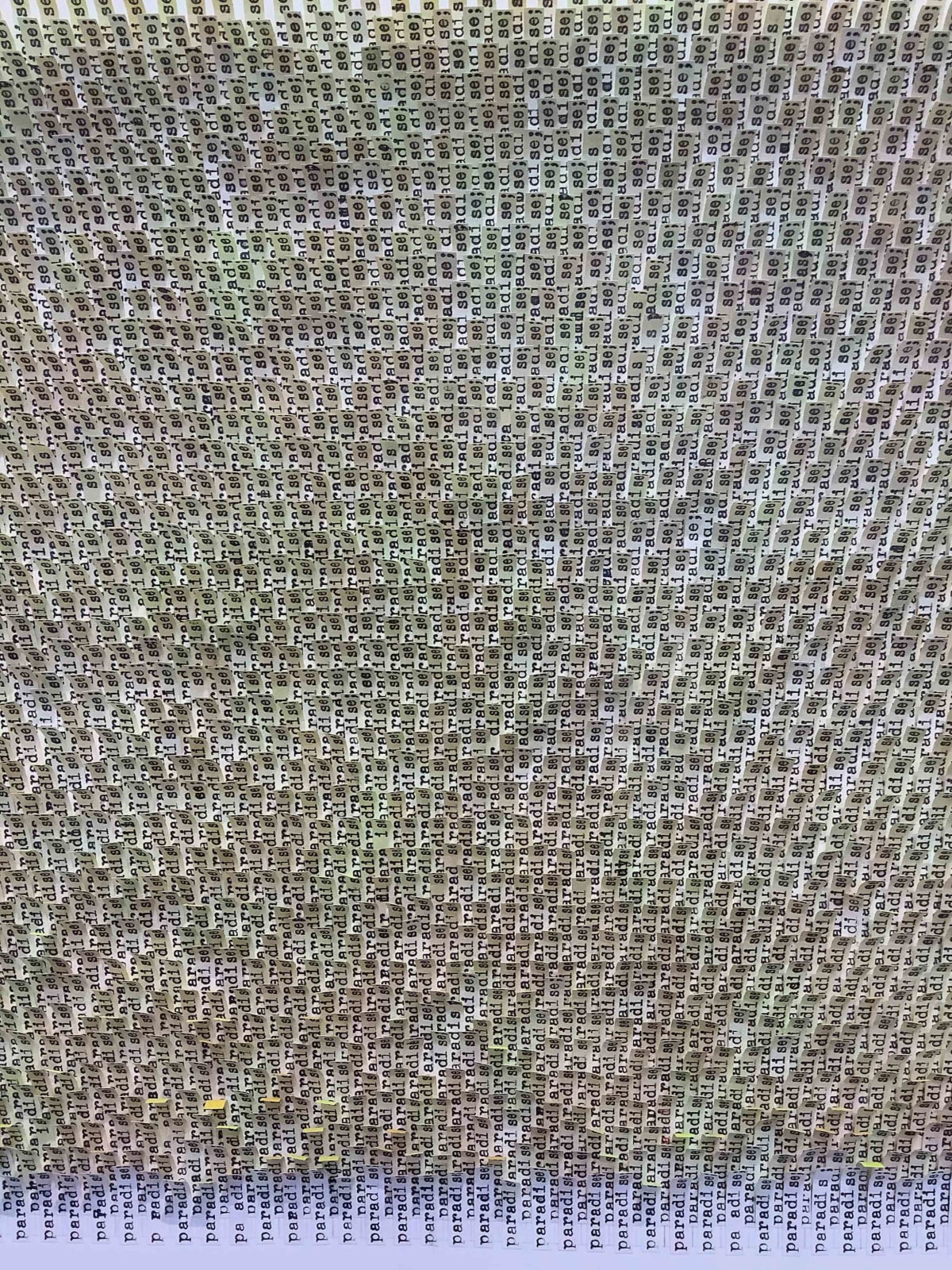Meg Hitchcock, Paradise, 2019