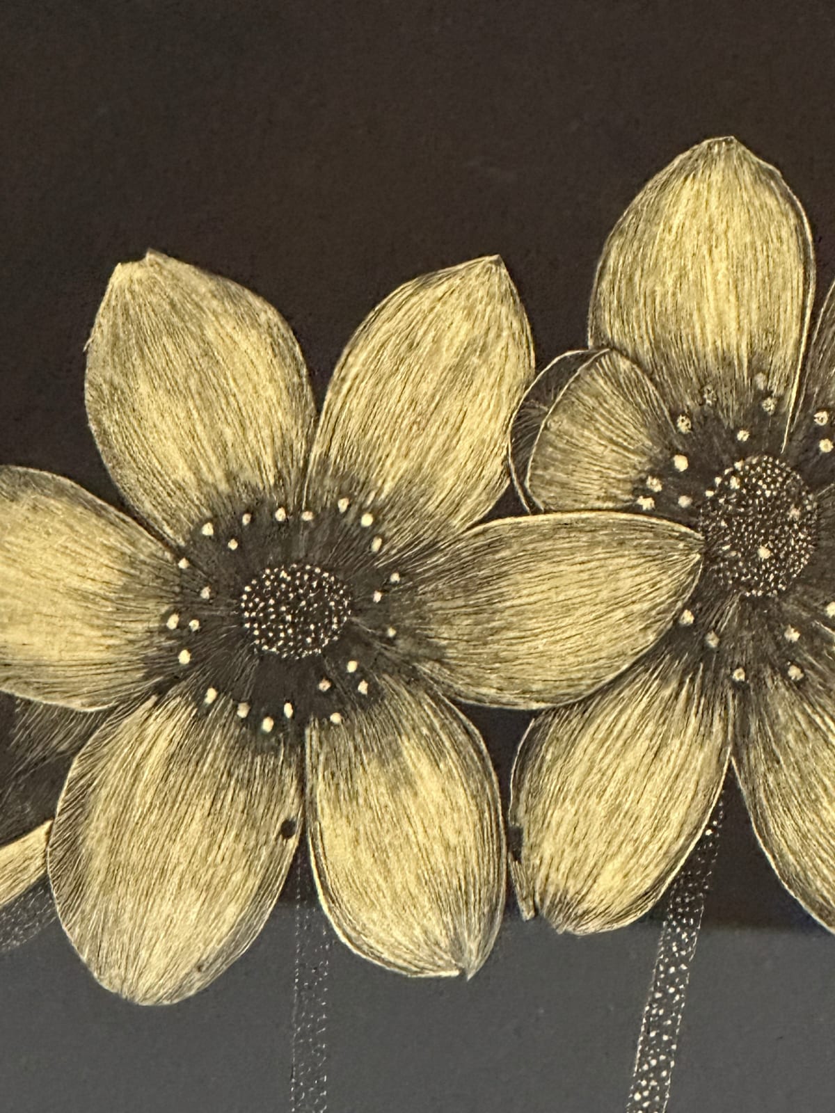 Margot Glass, Wild Anemone, 2024