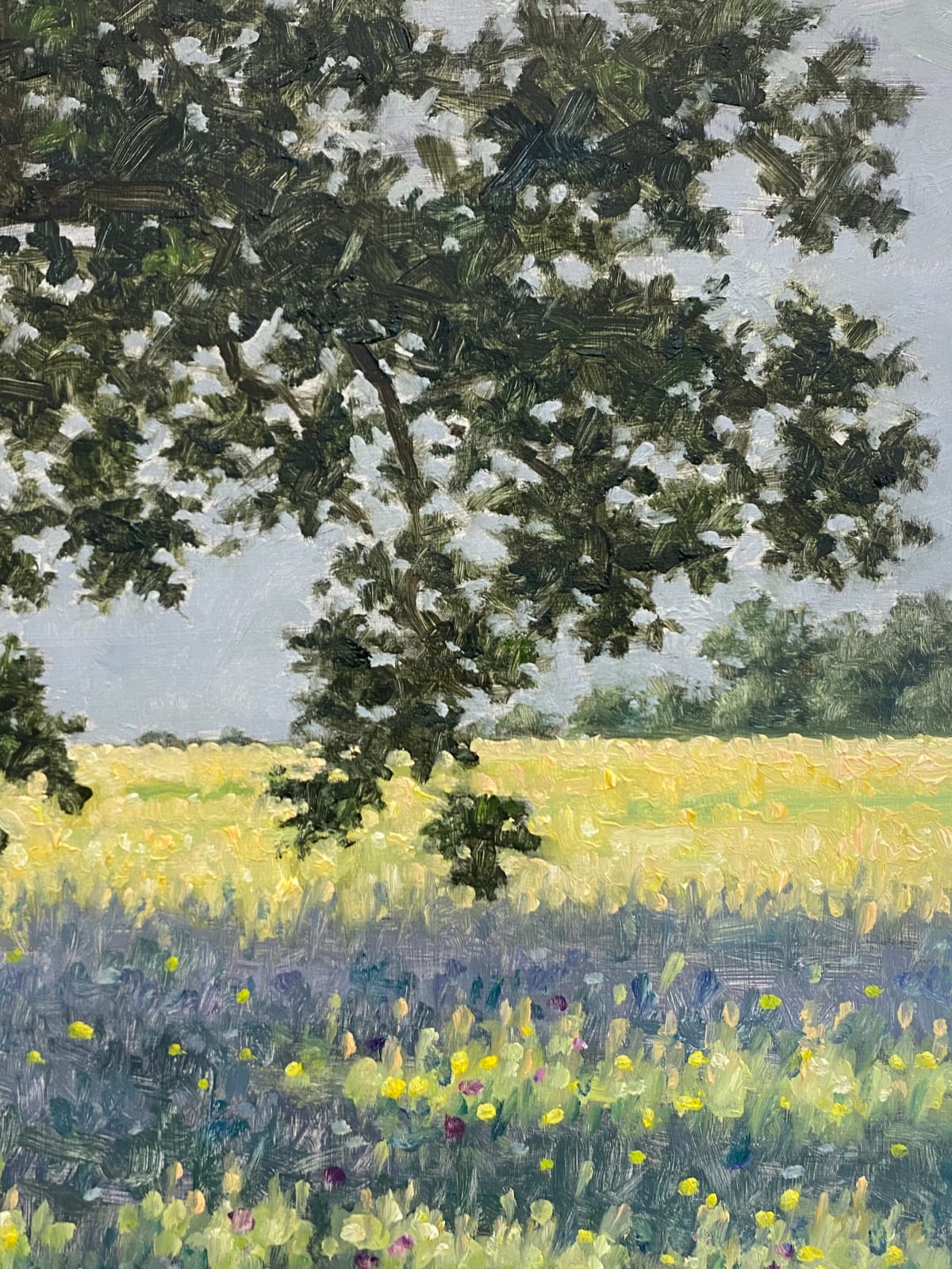 Thomas Sarrantonio, Field Painting June 15, 2022