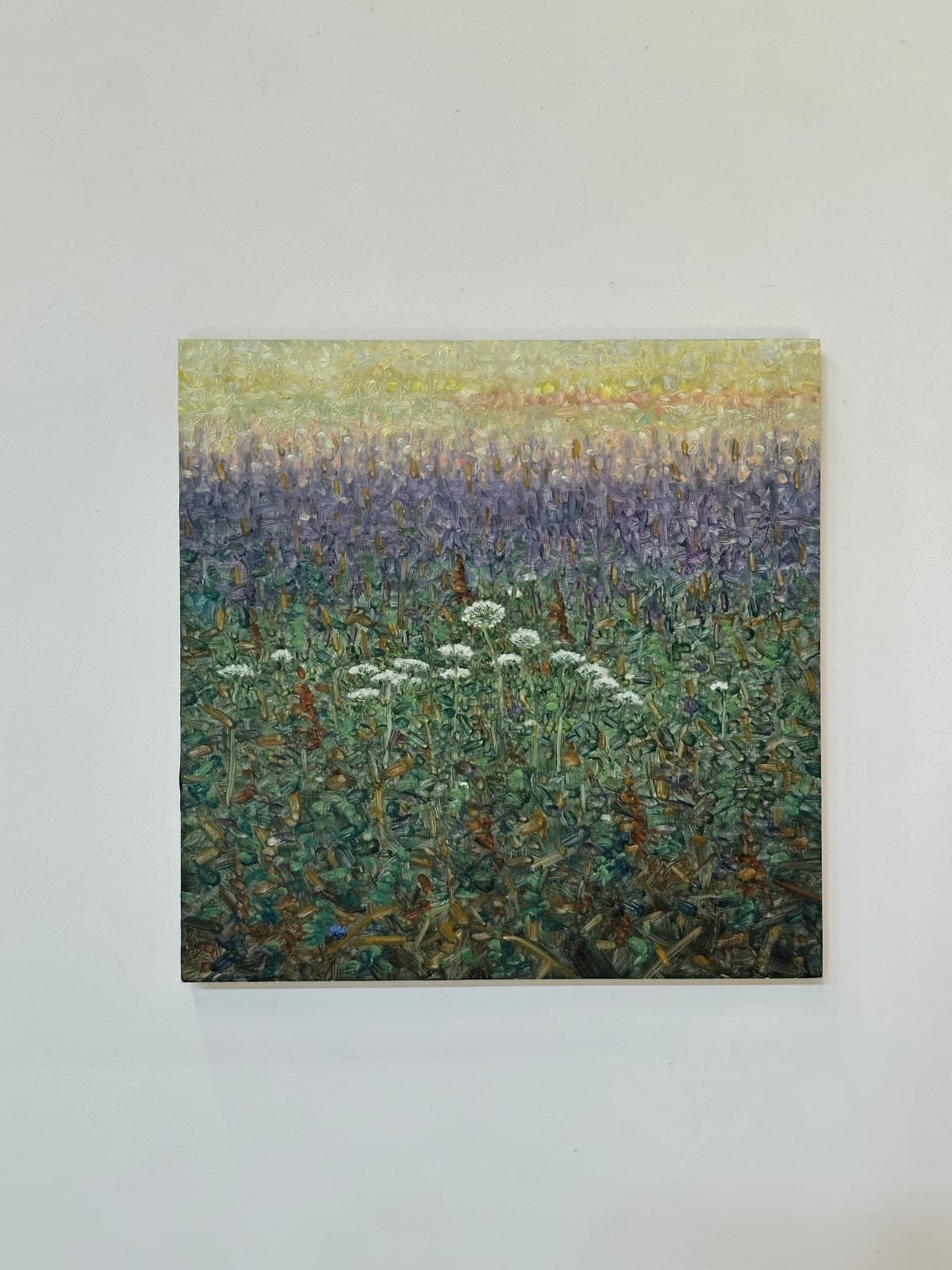 Thomas Sarrantonio, Field Painting August 2, 2022