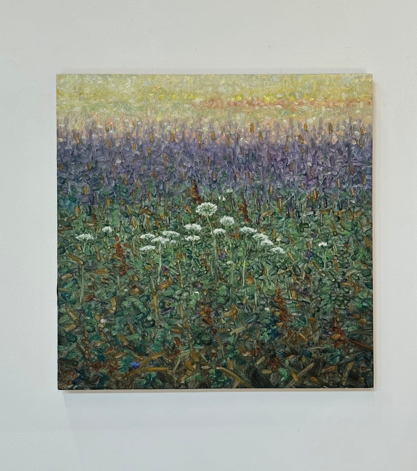 Thomas Sarrantonio, Field Painting August 2, 2022