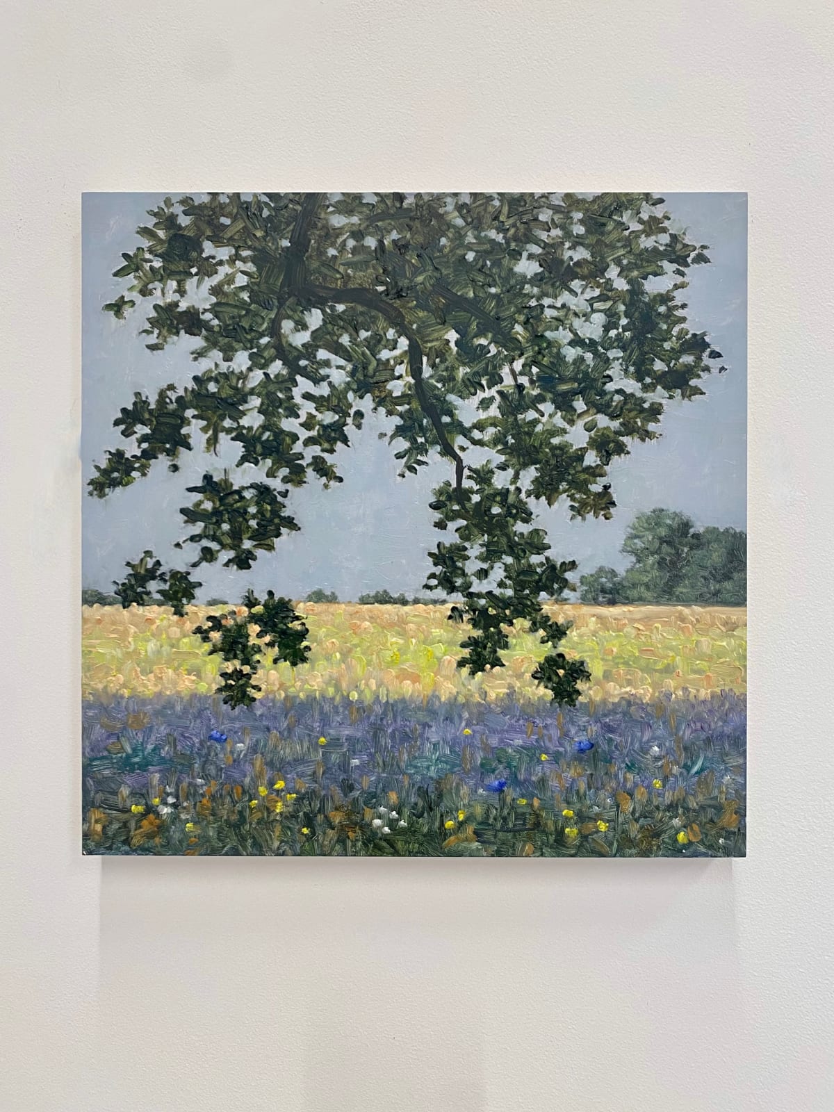 Thomas Sarrantonio, Field Painting July 1, 2022