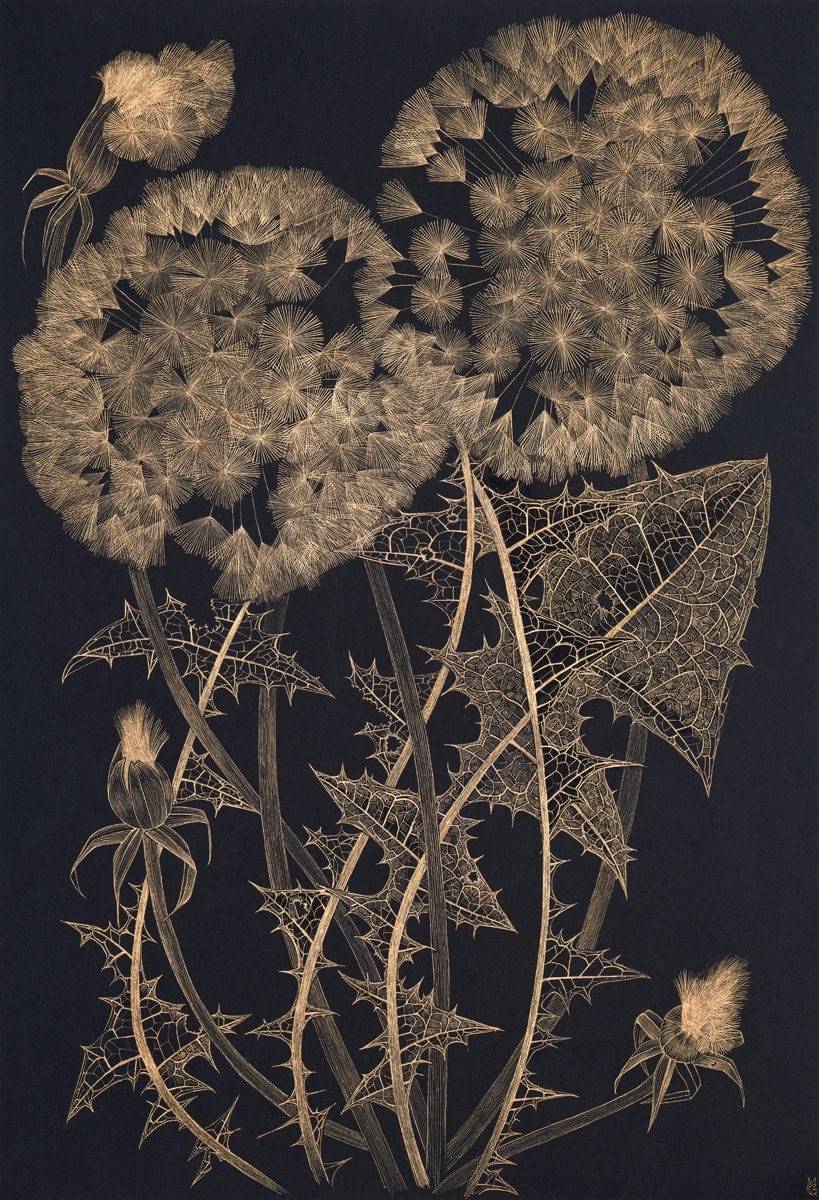 Margot Glass, Large Dandelion 6, 2023