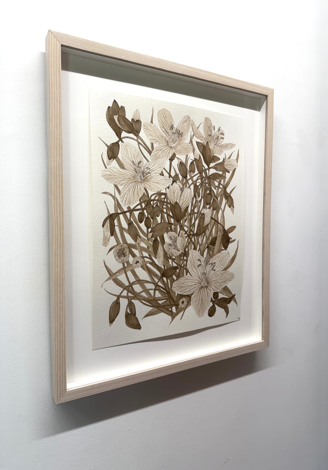 Margot Glass, Spring Beauty (Rokeby Woods) 1, 2025