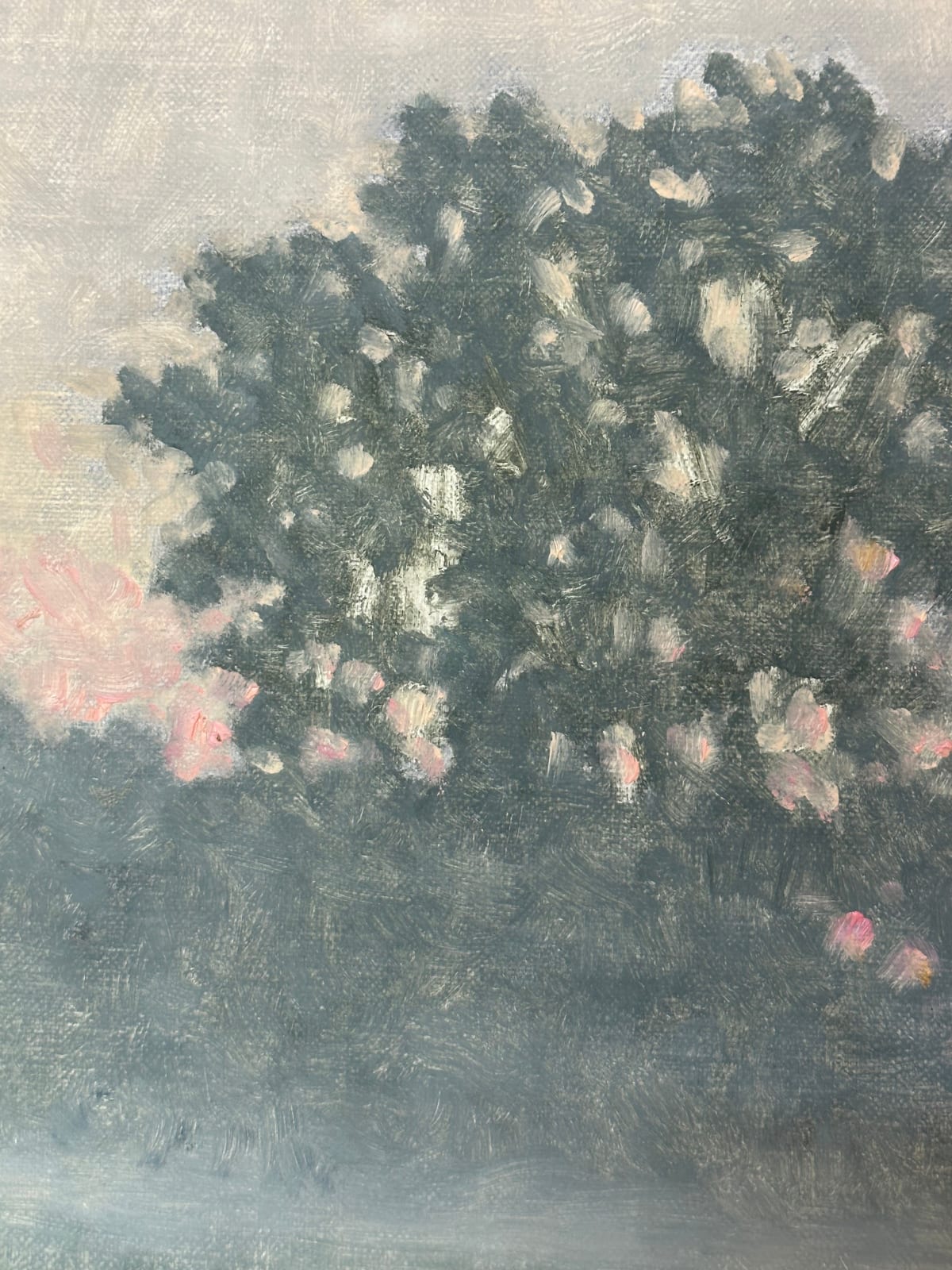 Thomas Sarrantonio, Field Painting July 20, 2023